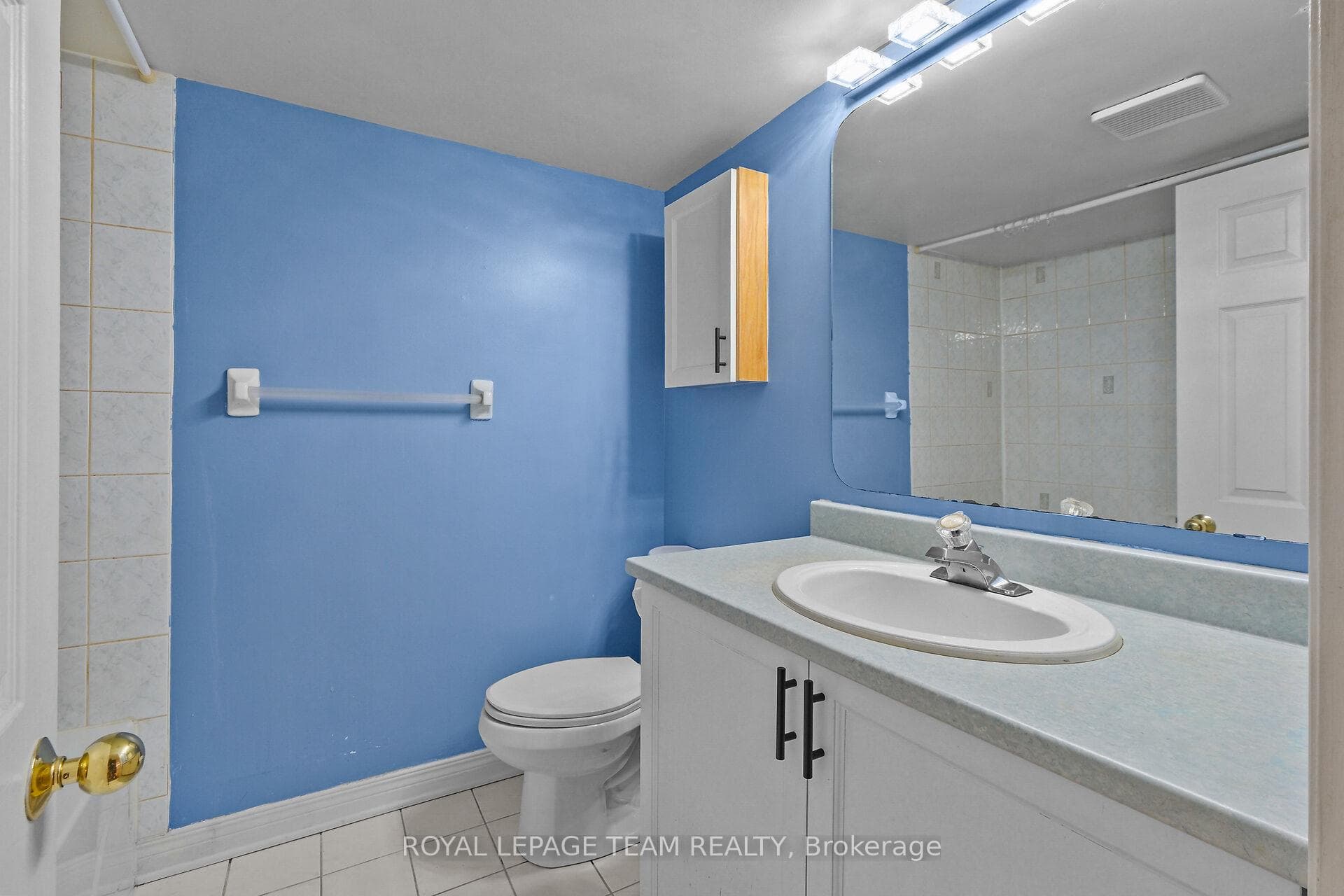 Lower level 4 piece bath