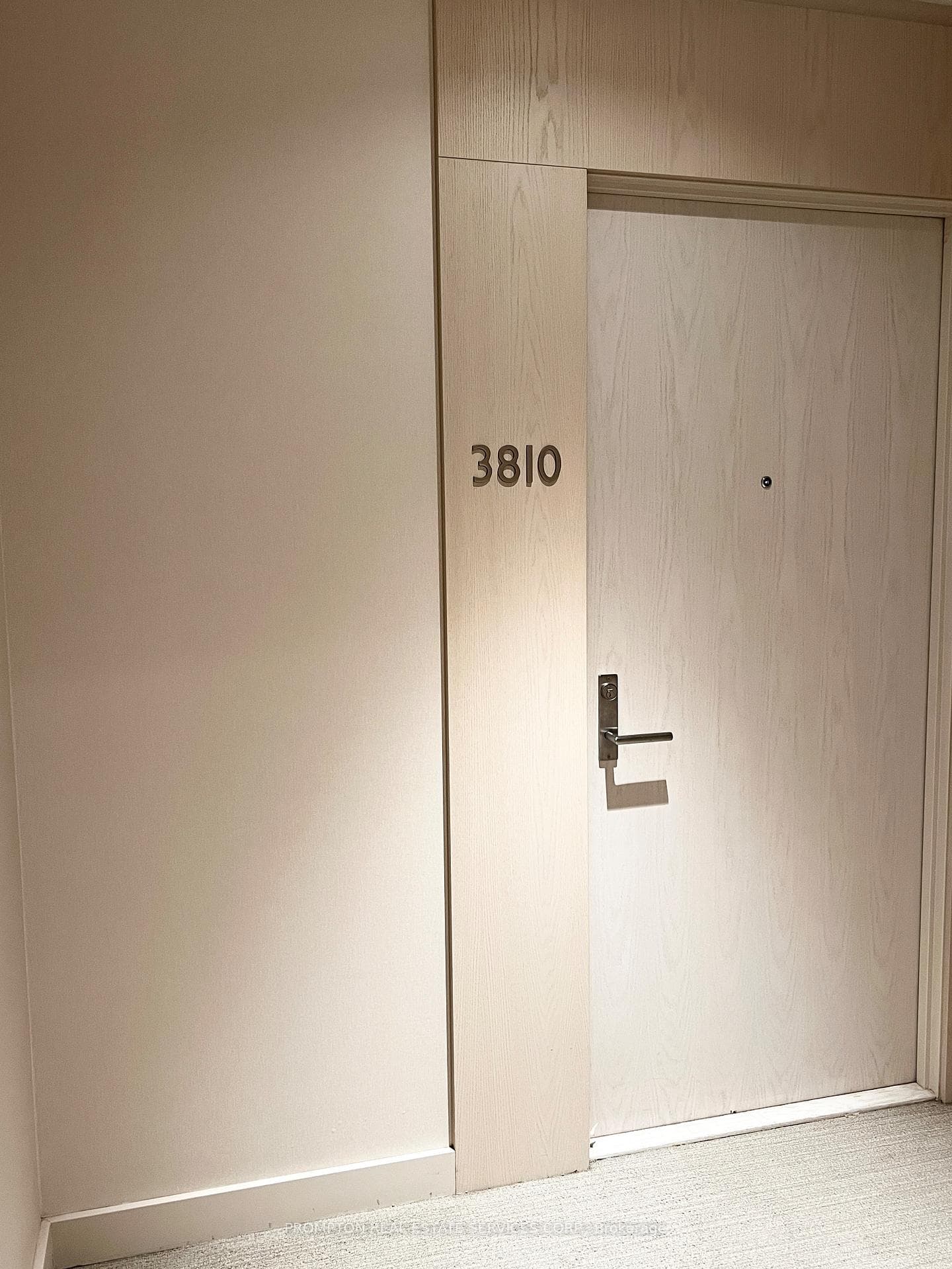 115 Blue Jays Way Unit 3810 photo 3