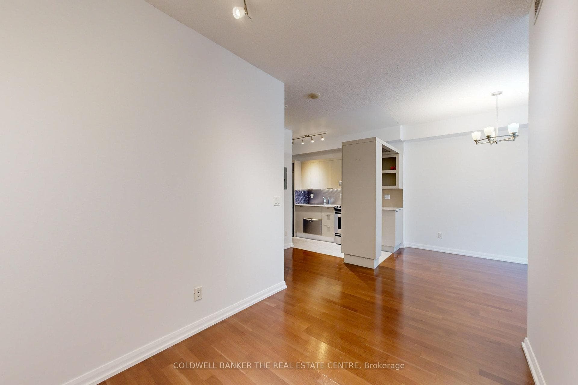 111 Elizabeth Street Unit 1118 photo 20