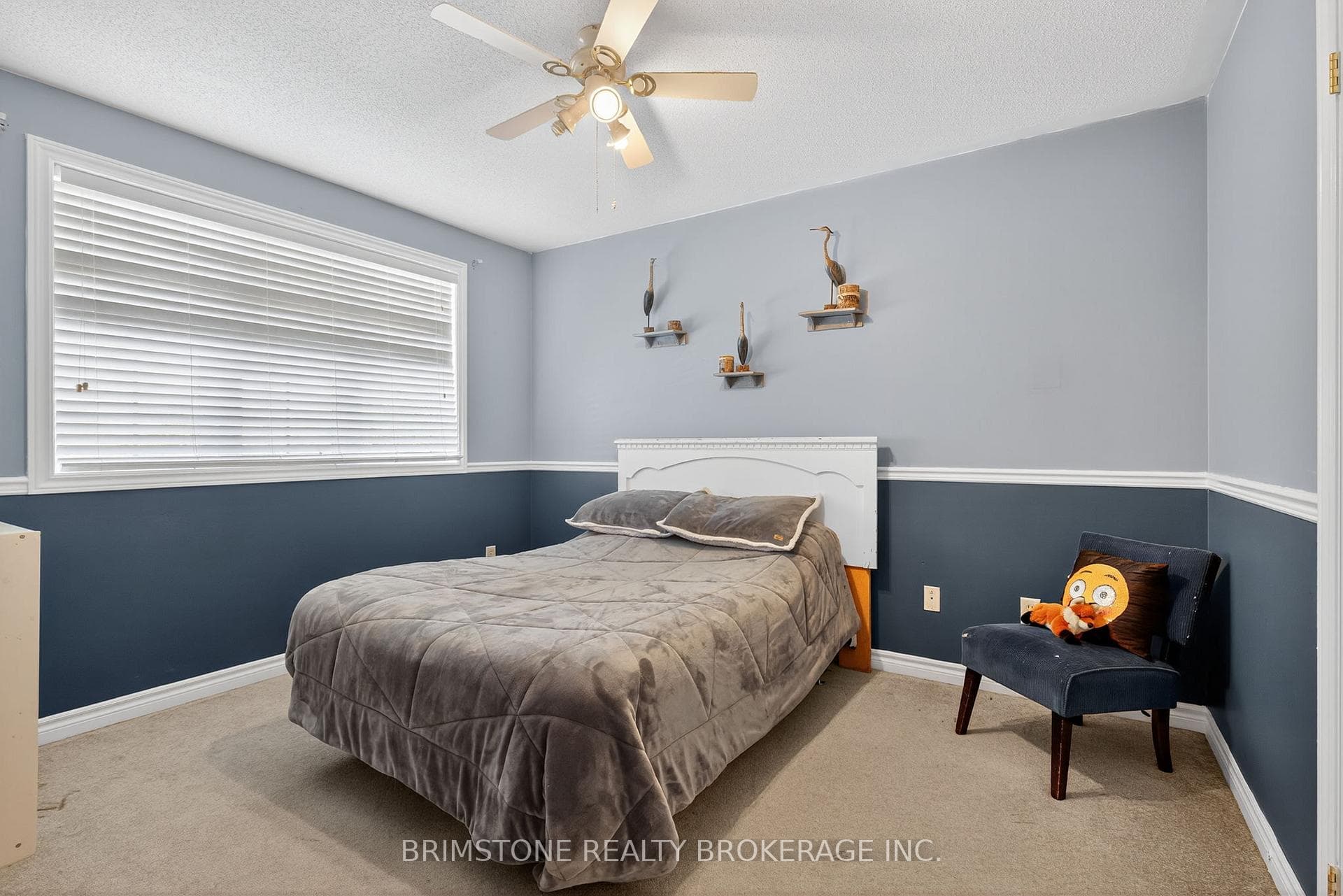 116 Bird Street photo 22