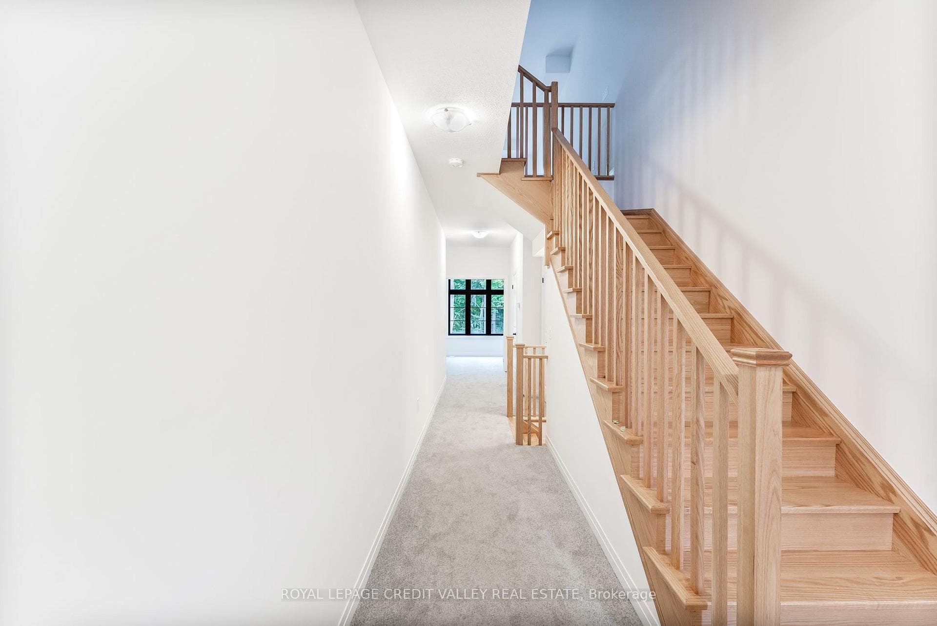 Entry Foyer - Lower Level