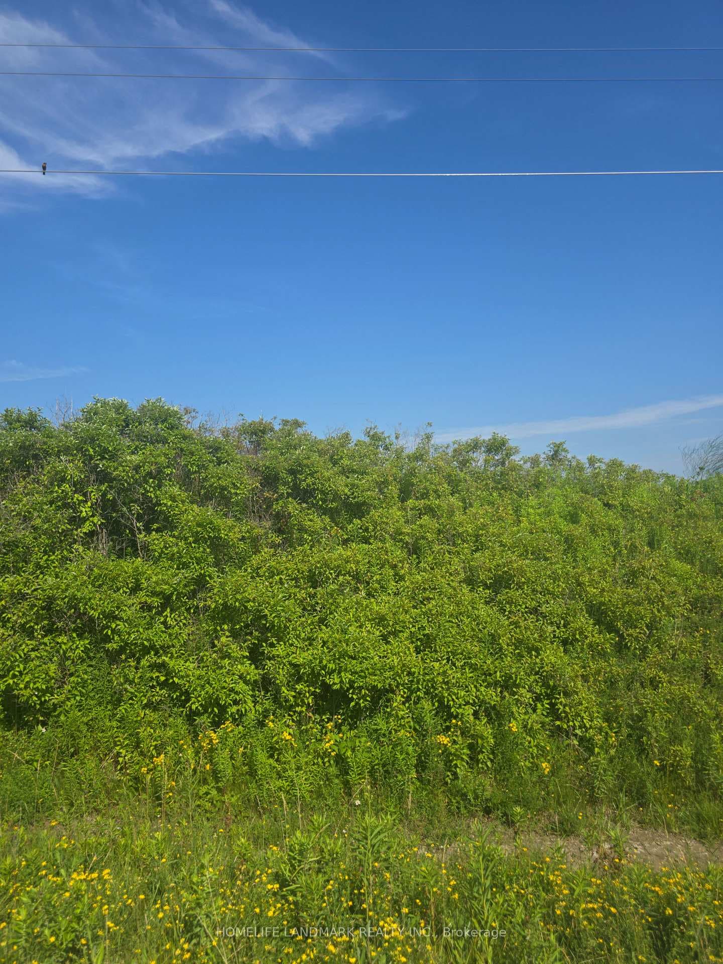 5177 Hwy #6 N/A photo 6