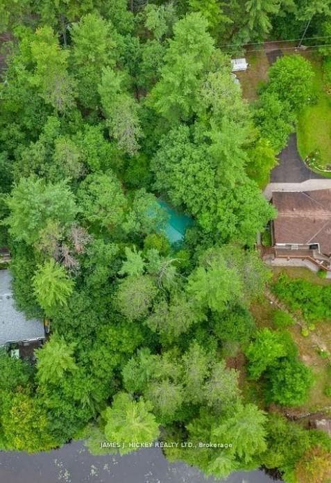 91 Bilsborrow Trail photo 22