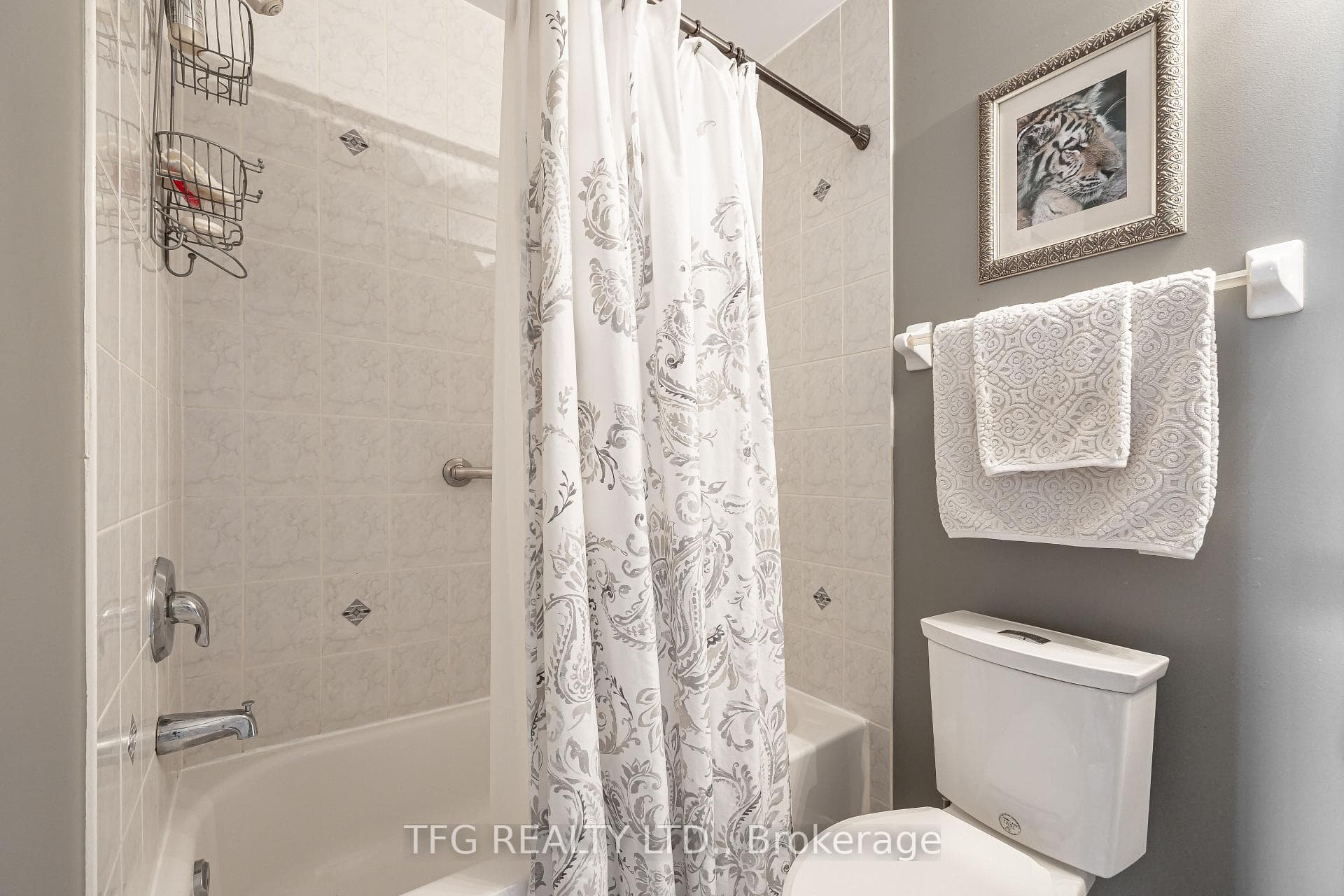 13 Blunden Road photo 25