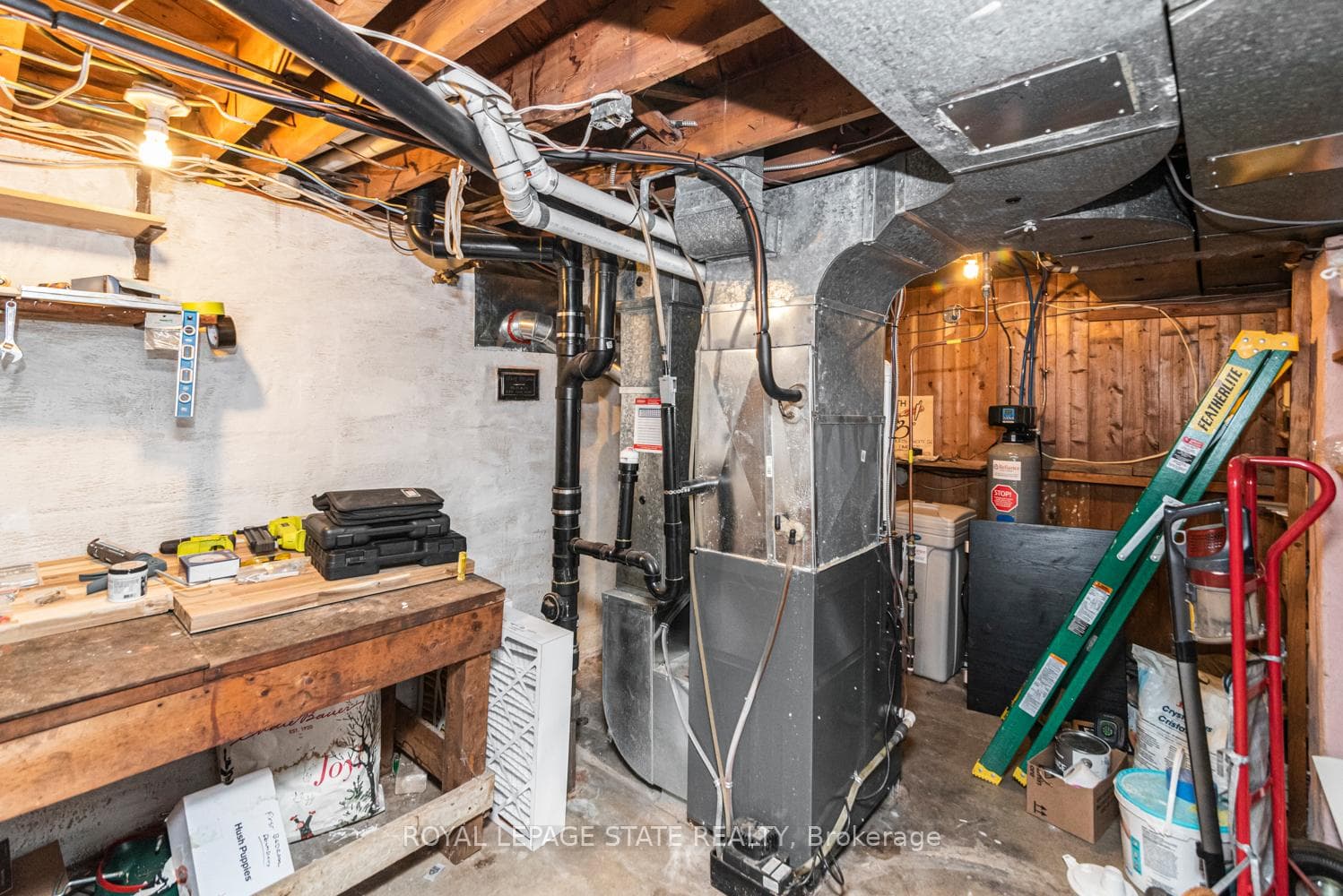 52 Cameron Avenue photo 36