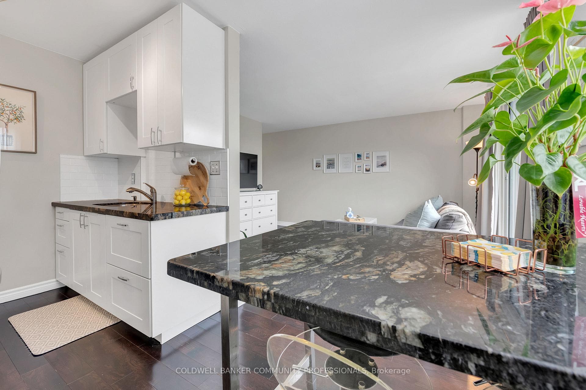 141 Catharine Street Unit 806 photo 18