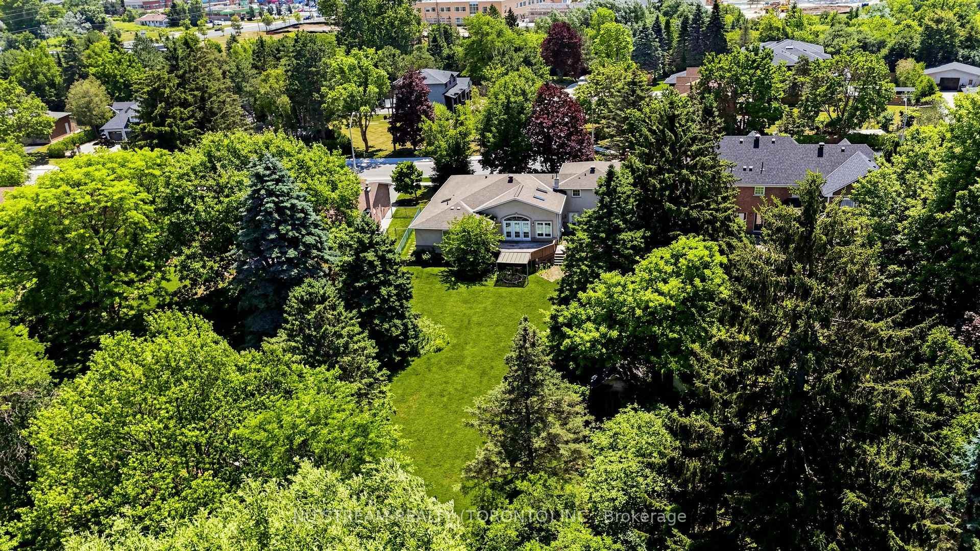 20 Blackforest Drive photo 35