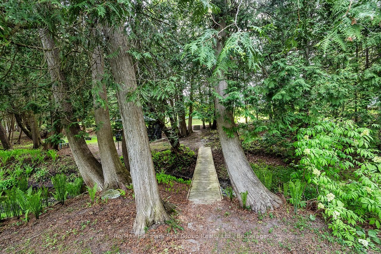 4818 Thornton Road photo 37