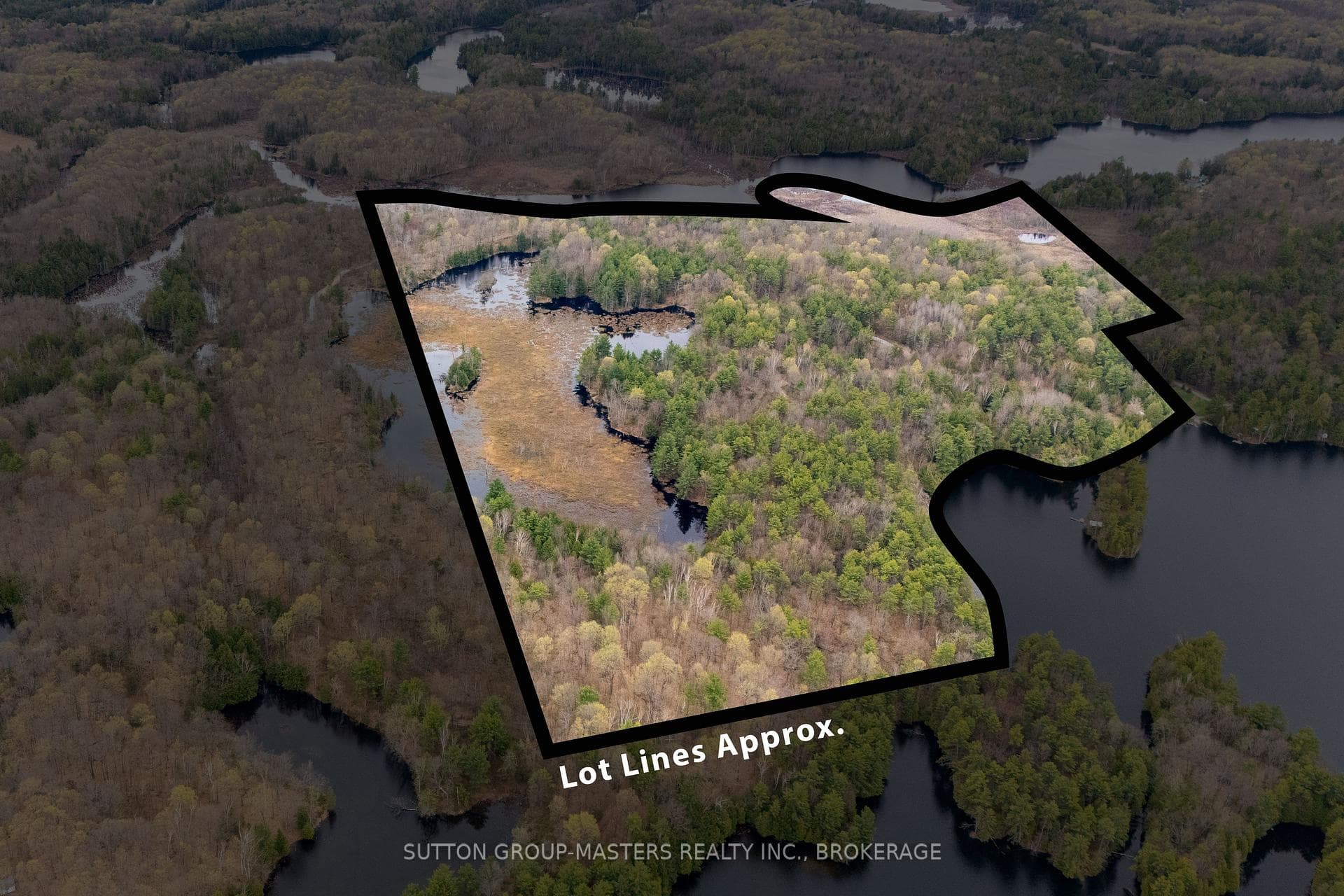 1131 Willy's Lane photo 1