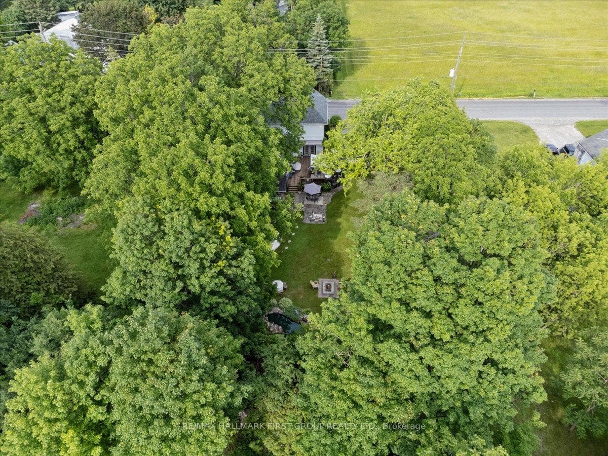 16900 Nestleton Road photo 49