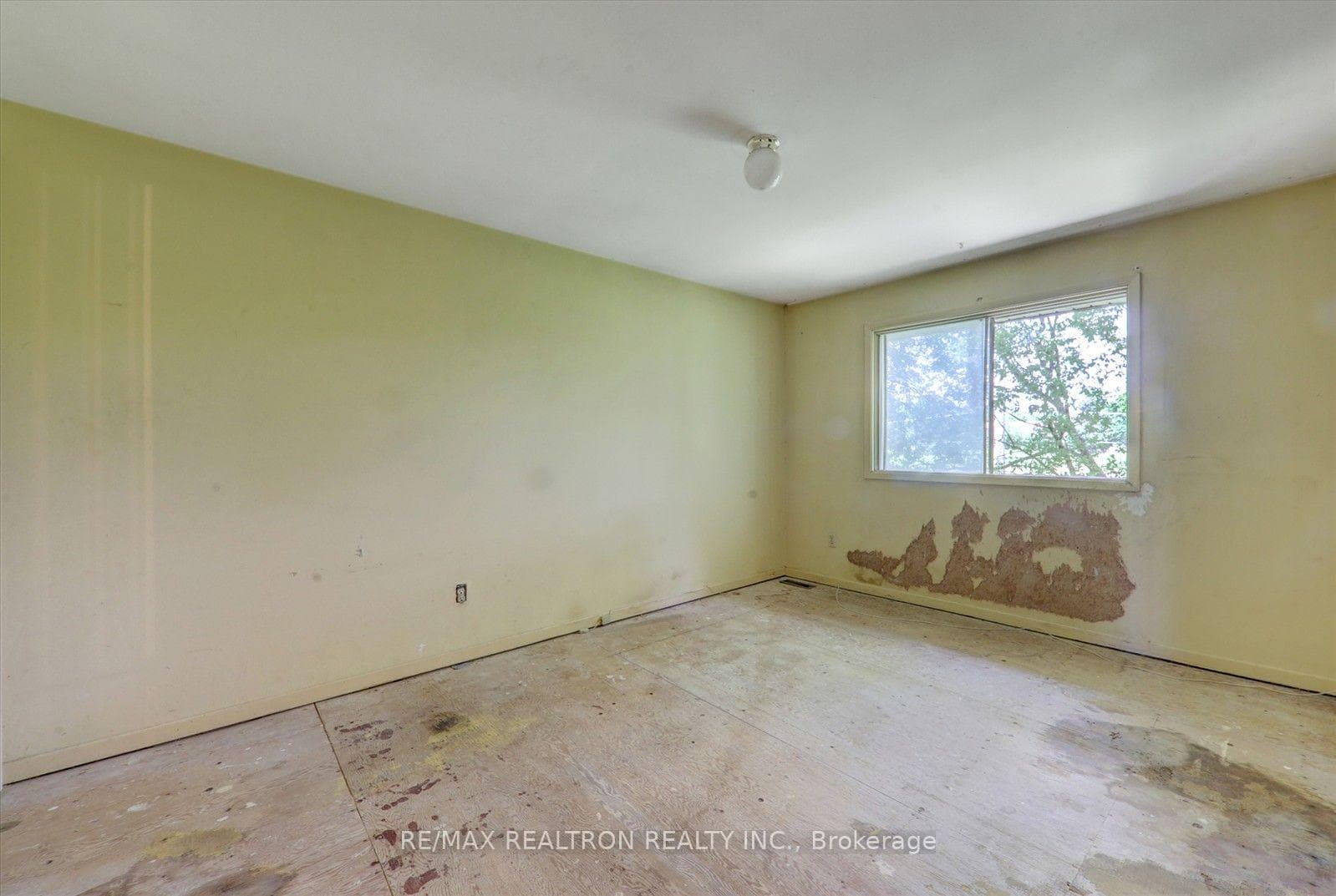 10 Livonia Place Unit 105 photo 26