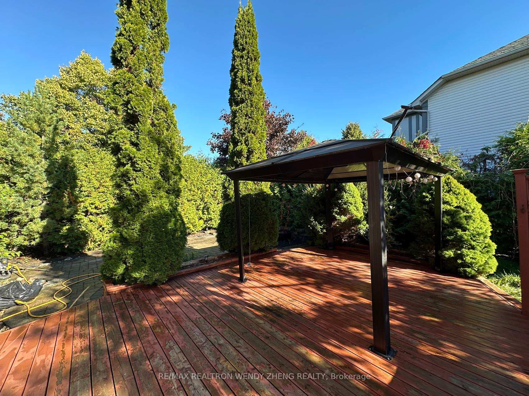 19 William Davidson Street photo 29