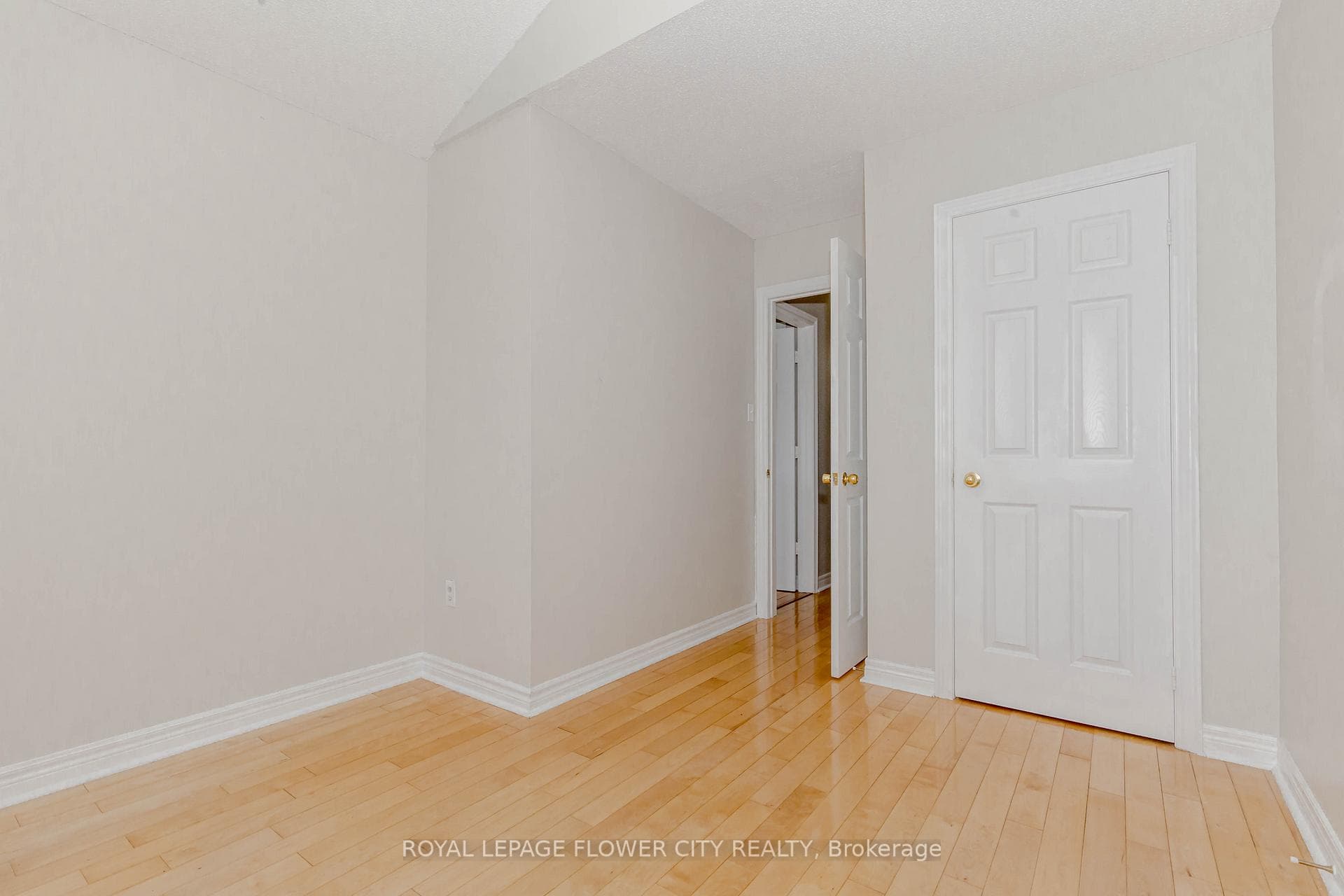 46 Nathaniel Crescent photo 25