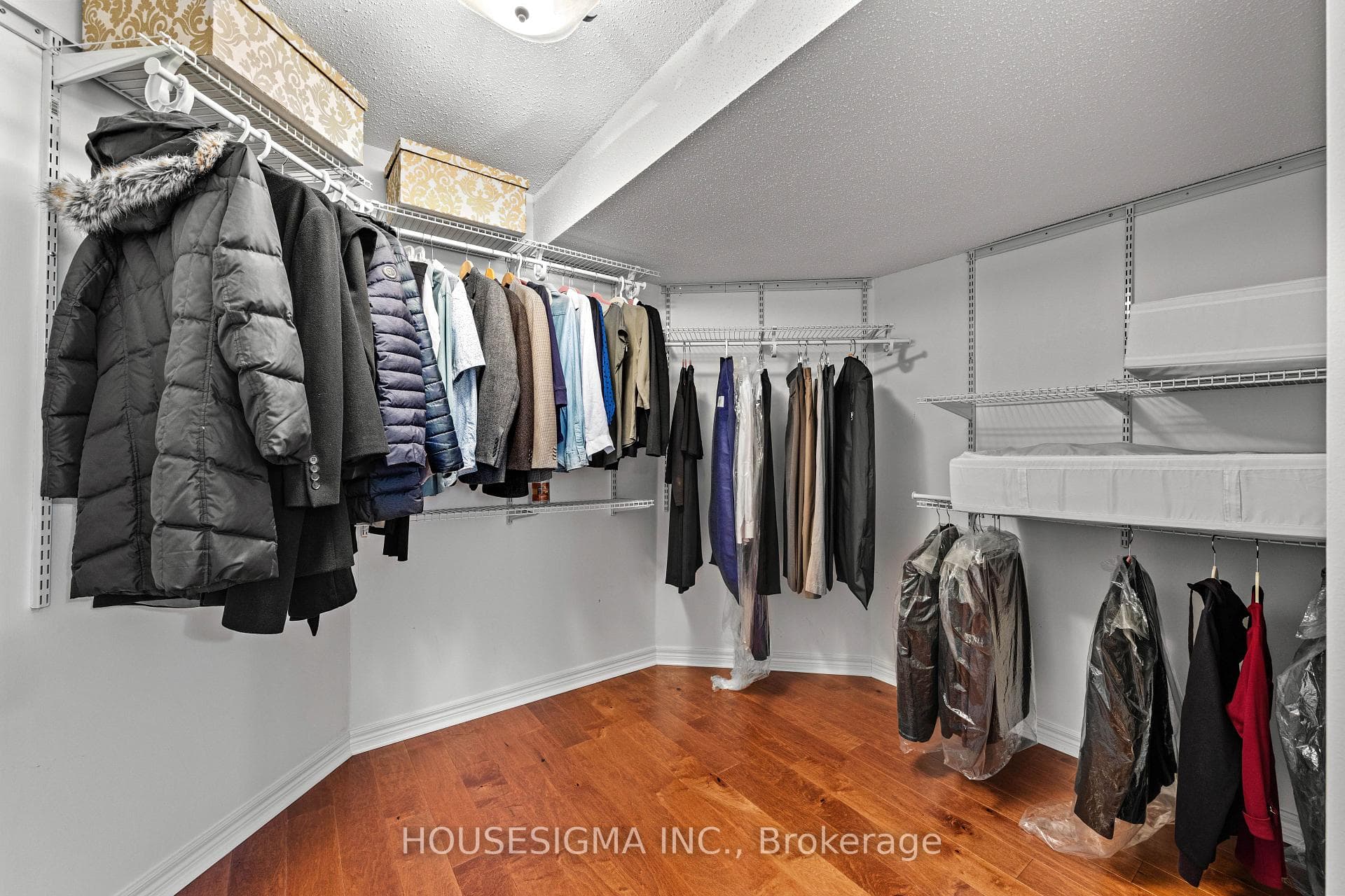 56 Holsted Road photo 29