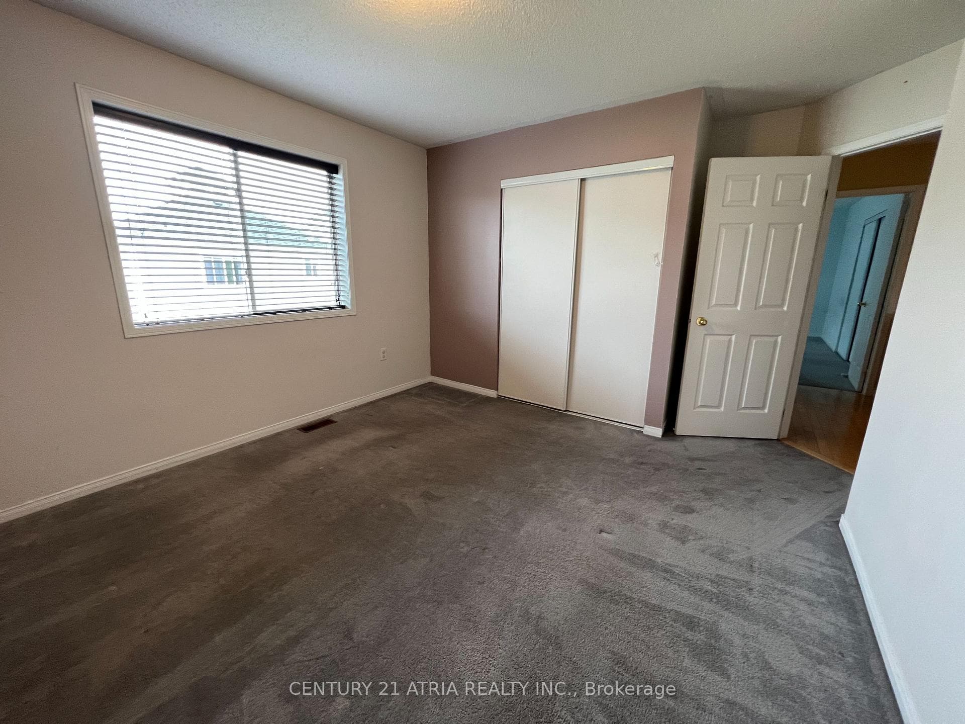 8 Hoile Drive photo 19