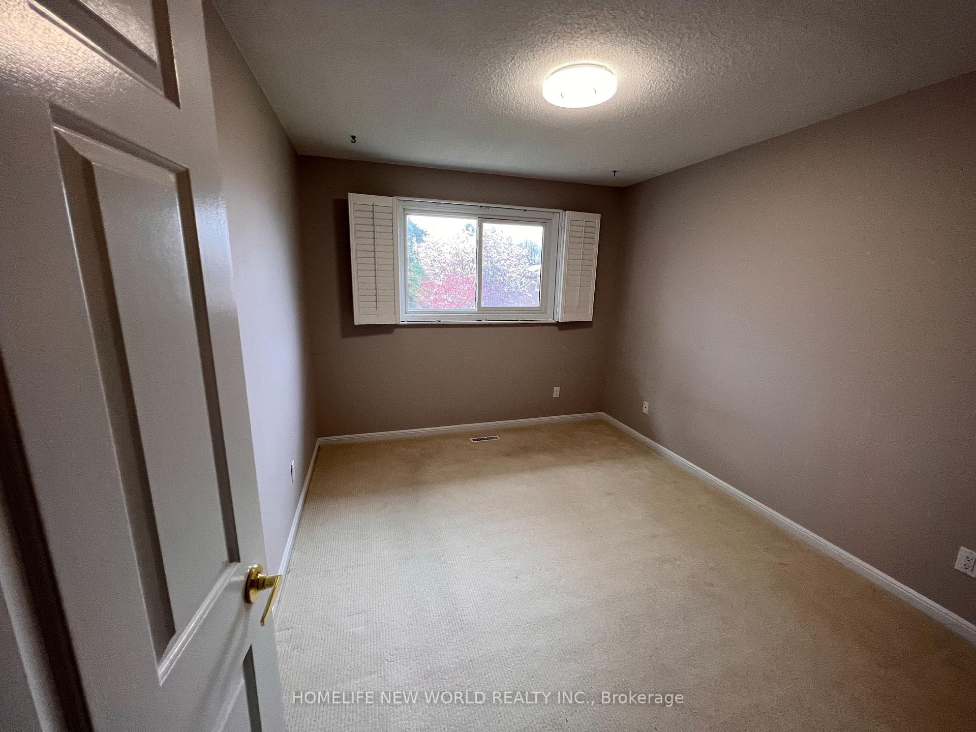 21 Delmark Boulevard photo 21