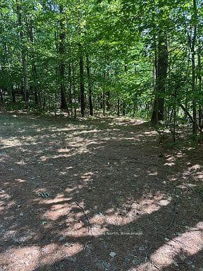 2875 County Road 21 Road photo 19