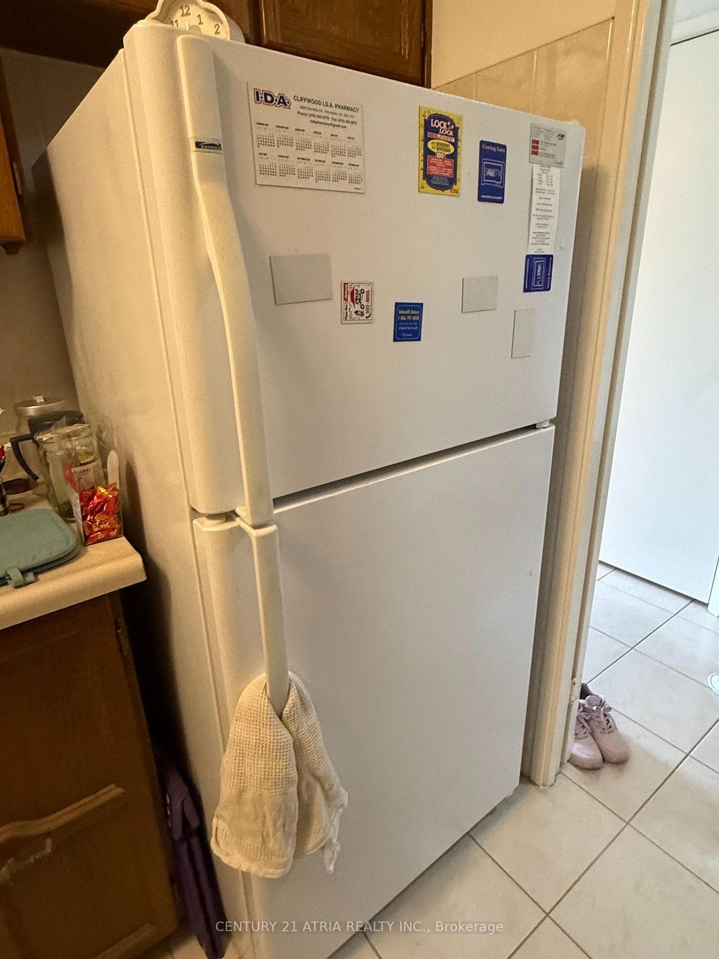 White Standard Fridge