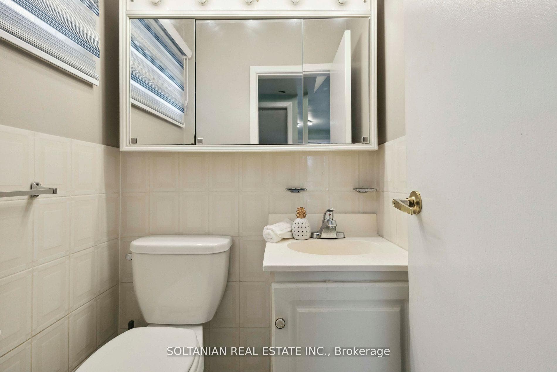 102 Elnathan Crescent photo 24