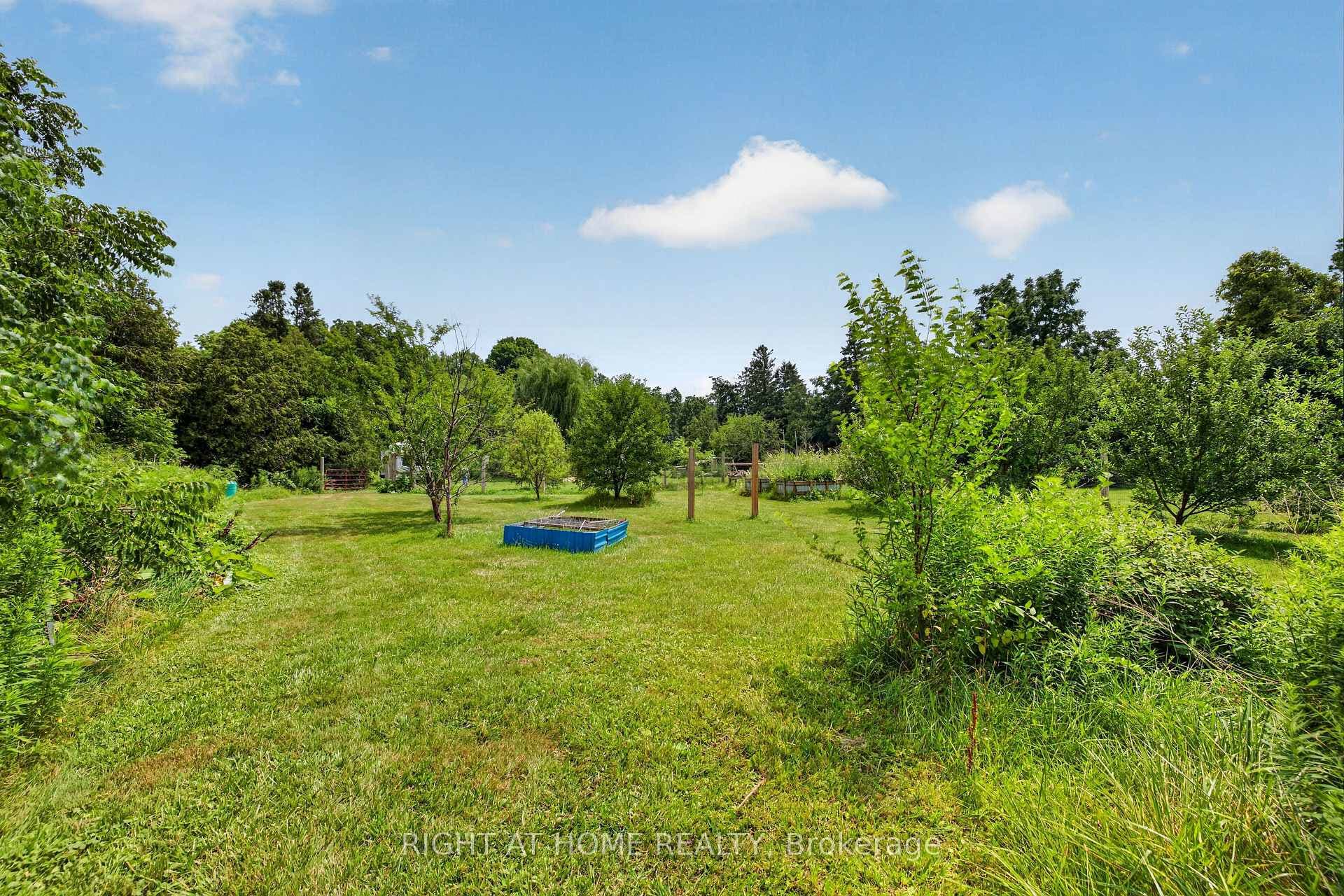Orchard