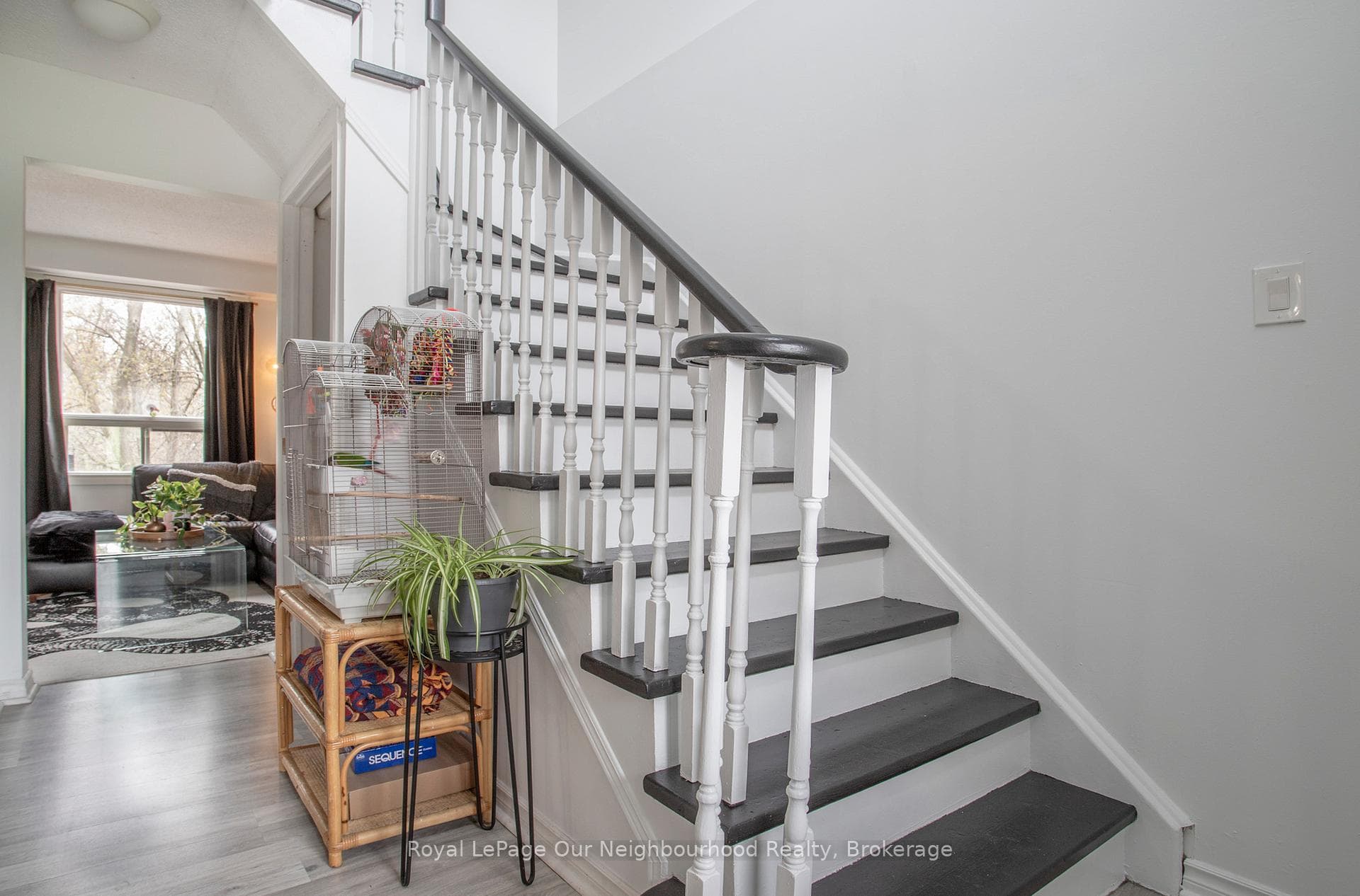 117 Galbraith Court photo 14