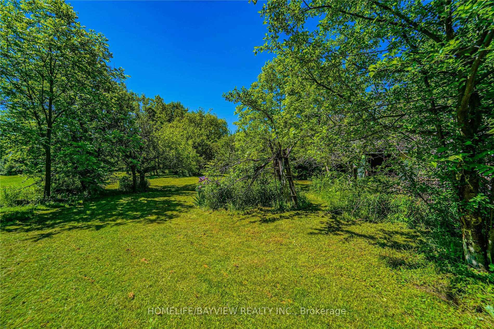 85 Yongehurst Road photo 11