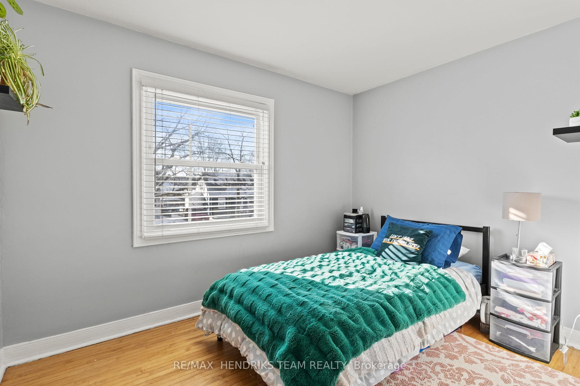 19 Cedardale Avenue photo 22