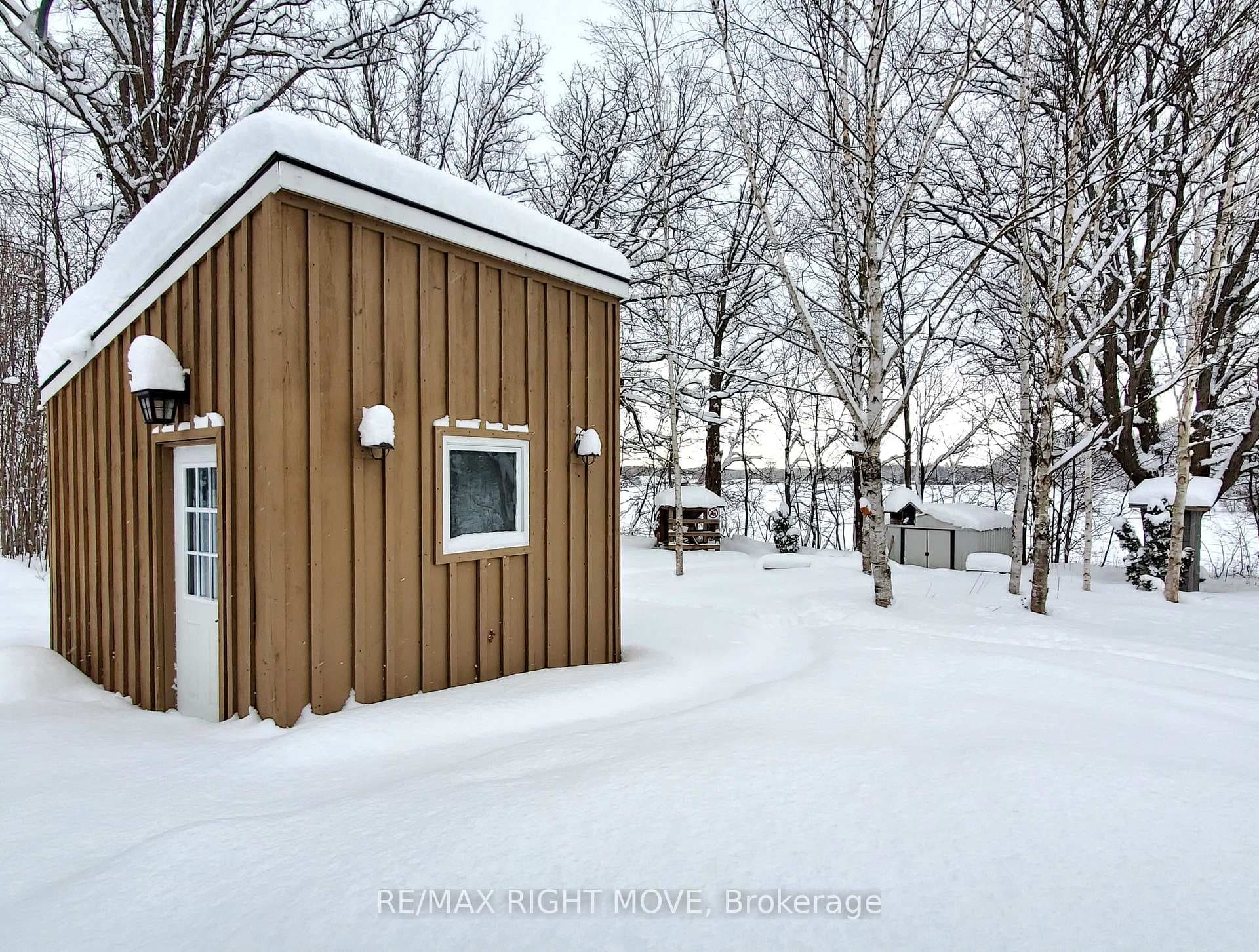 Sauna and sheds in backyard
