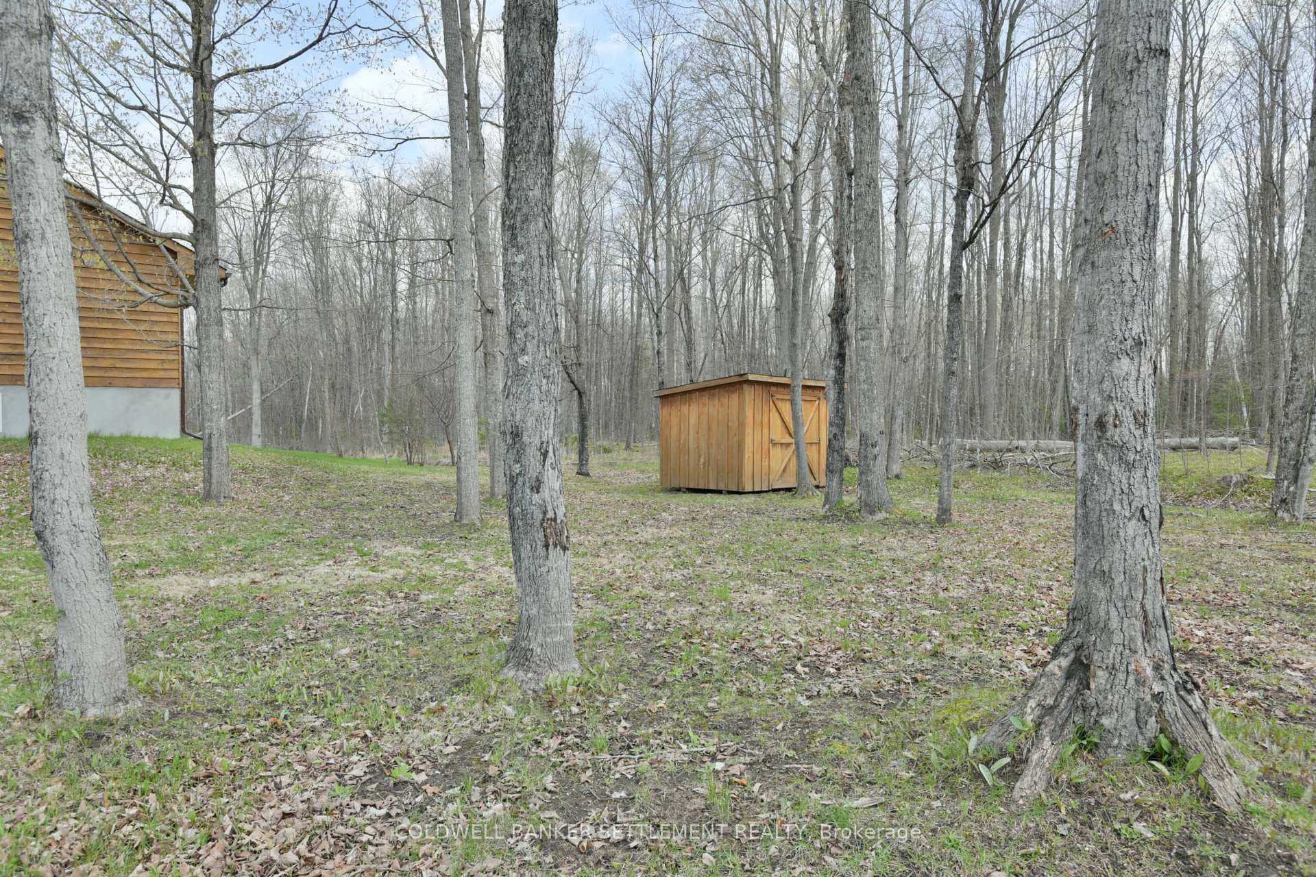 8857 Malloch Lane photo 39