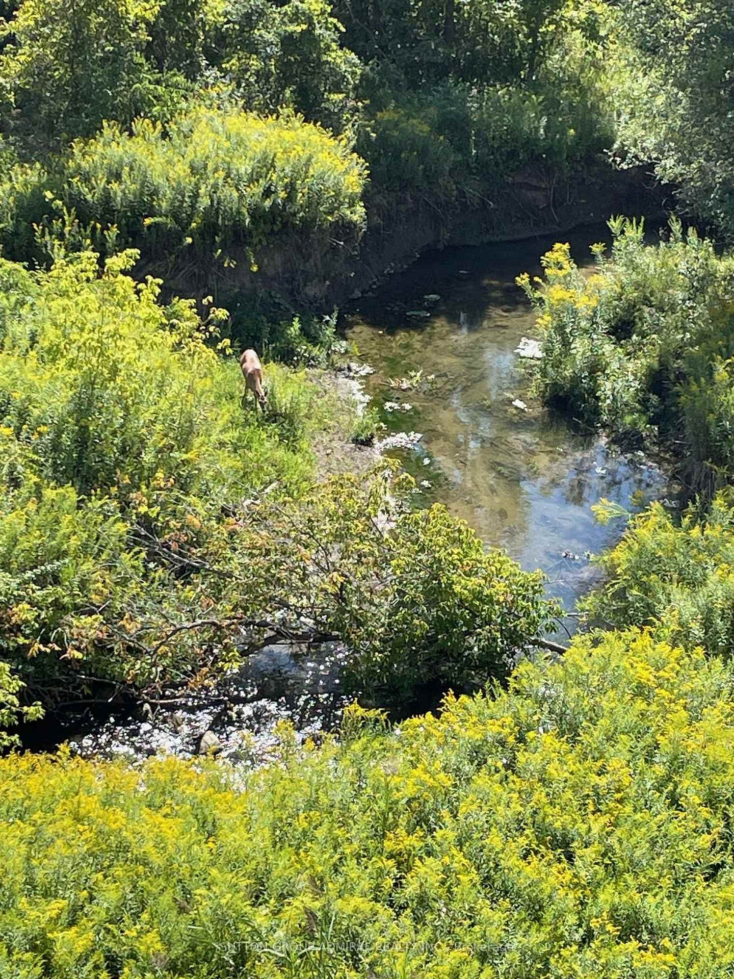 15 Stormont Trail photo 45