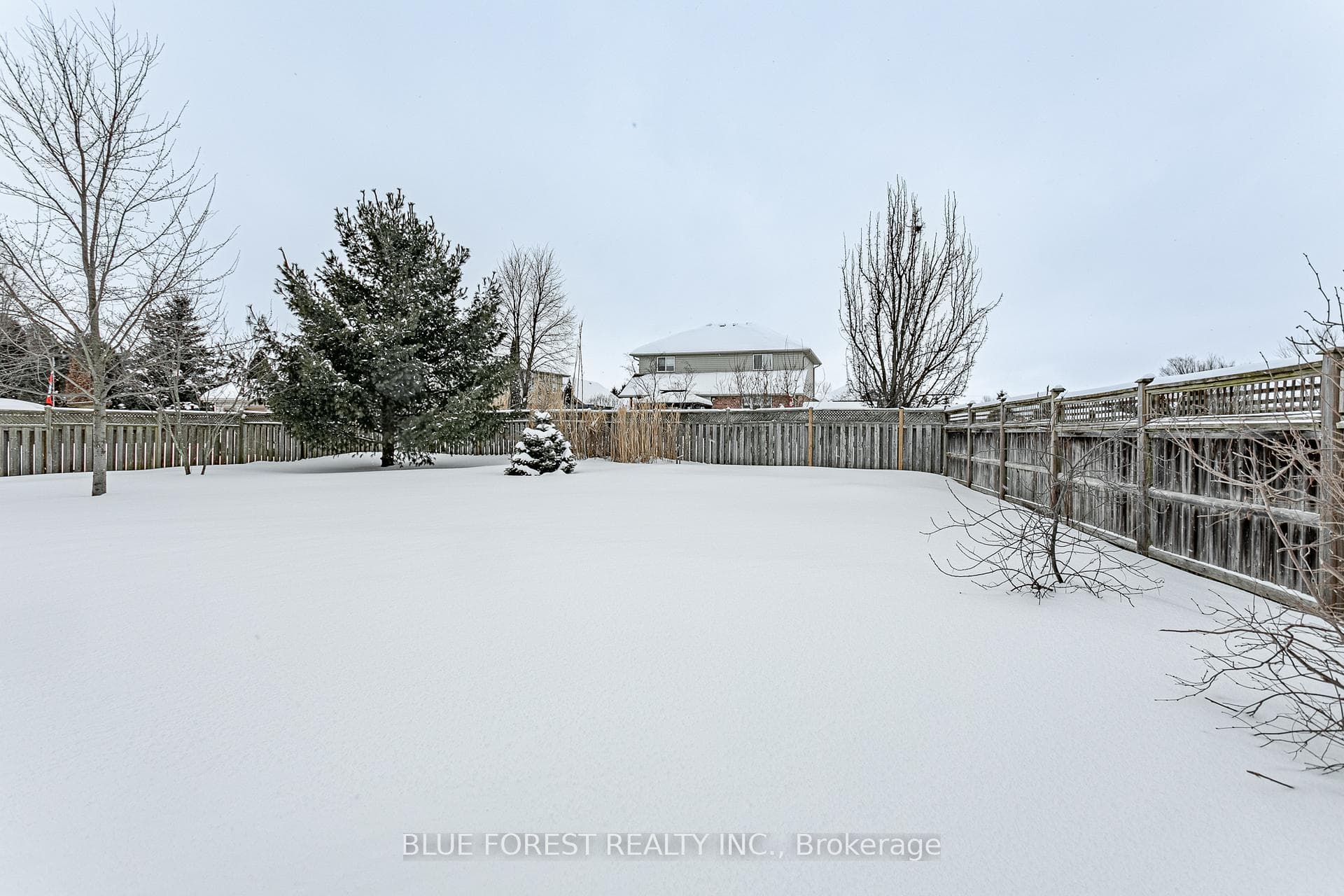 4 Forest Grove Crescent photo 31