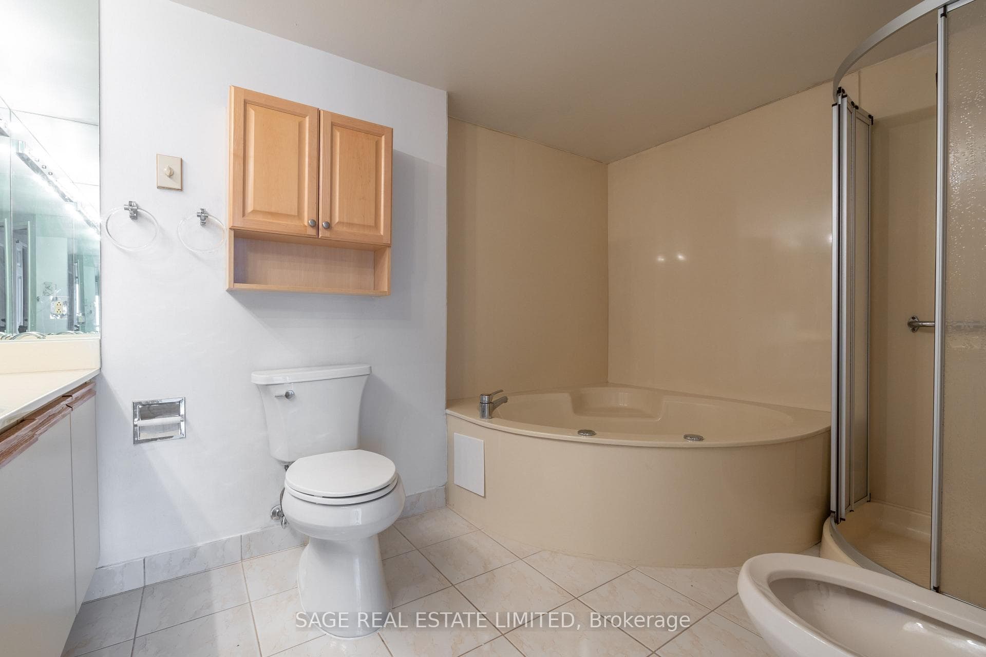 30 Harding Boulevard Unit 1002 photo 10