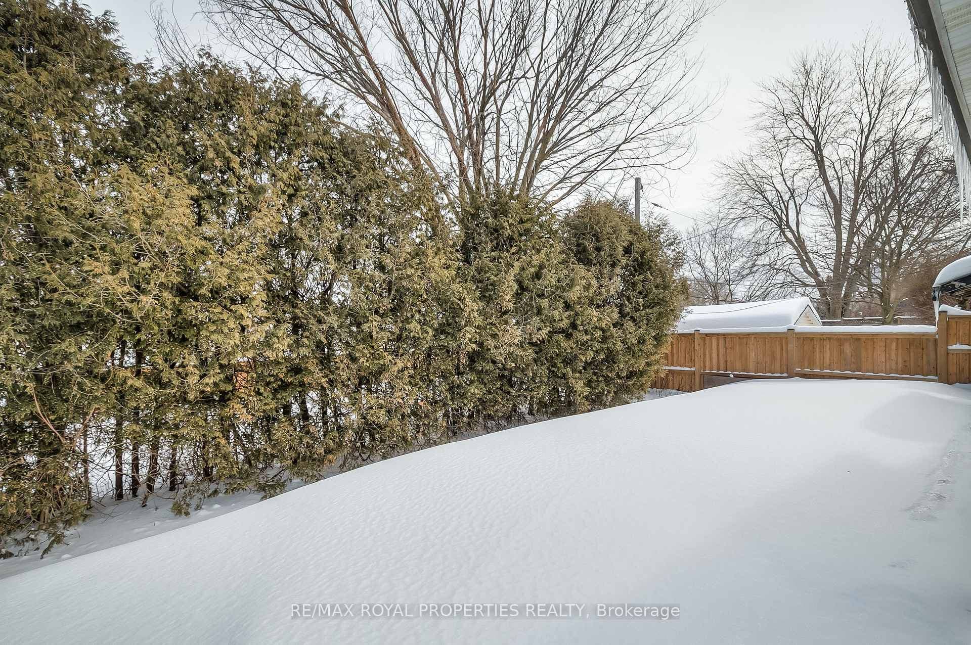 733 Balaton Avenue photo 41