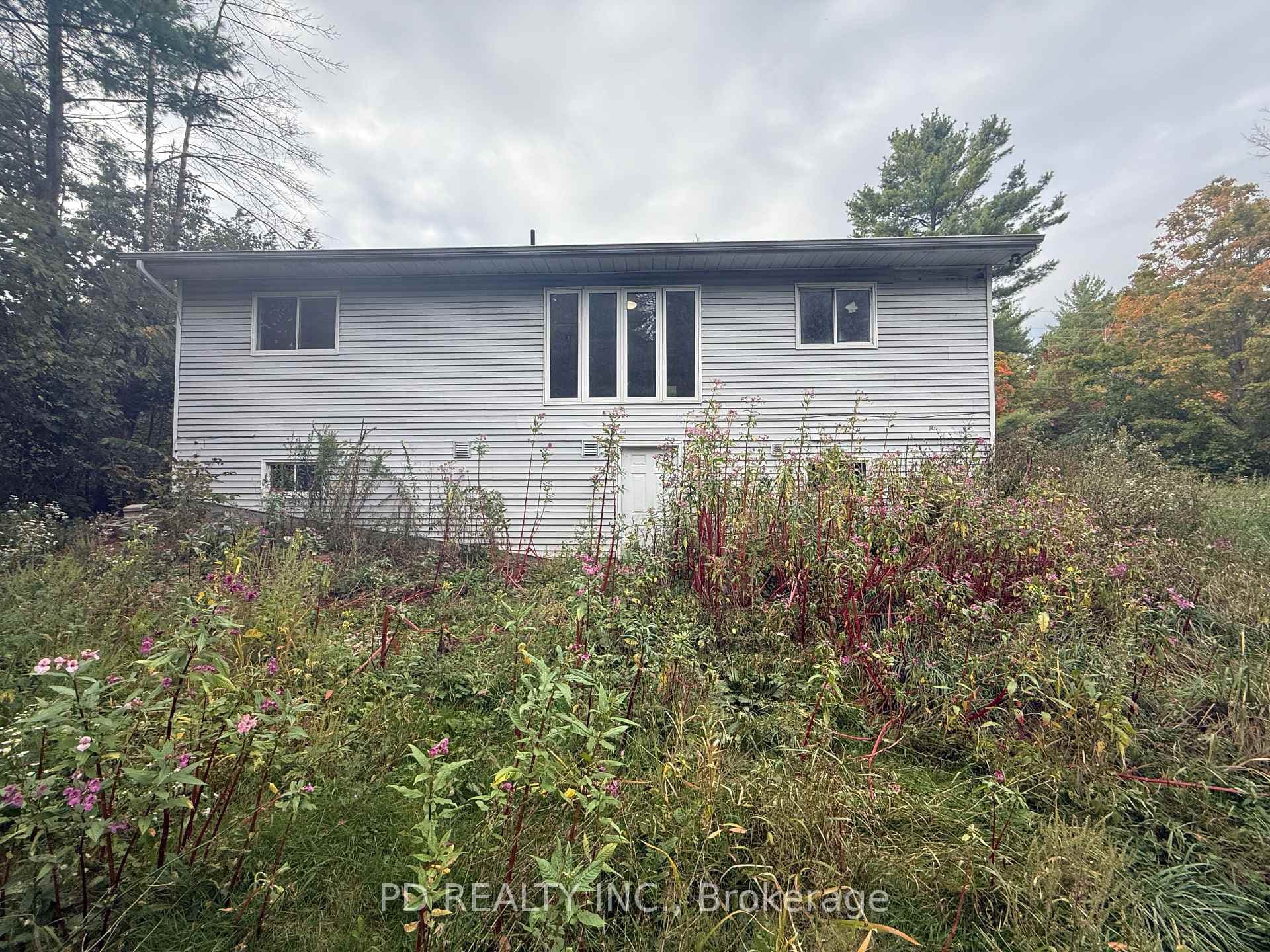 317 Lower Oak Leaf Road photo 40