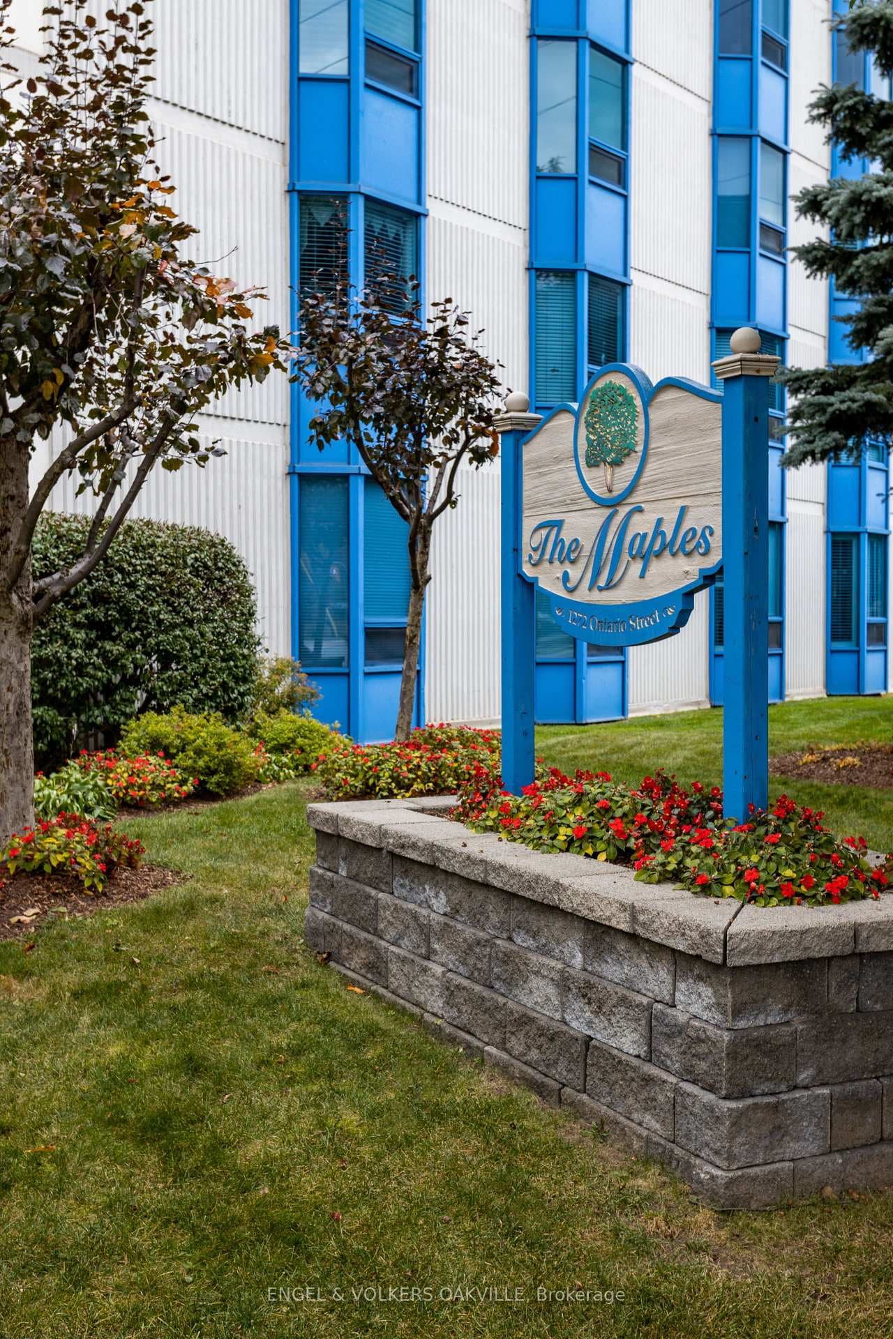1272 Ontario Street Unit 203 photo 3