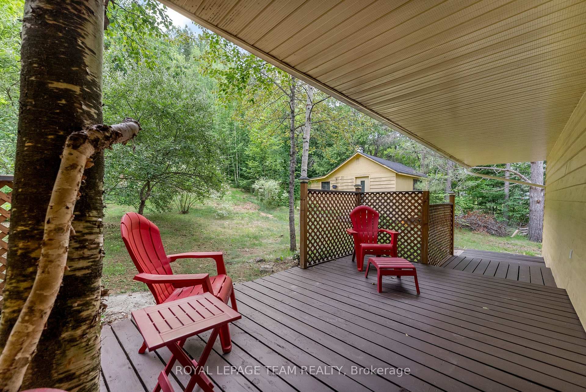 4 MURCHISON Road photo 12