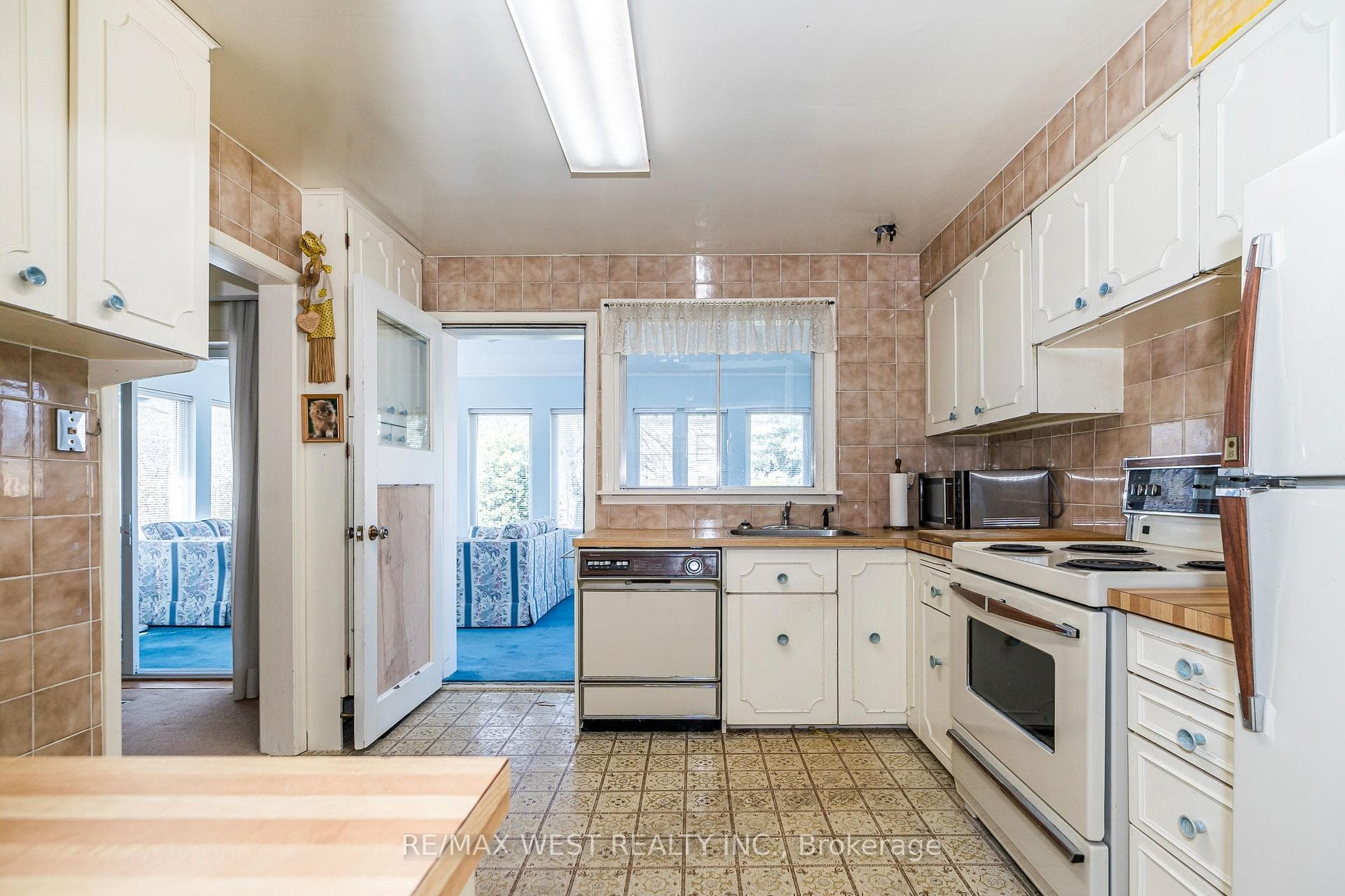 14 Whitelock Crescent photo 16