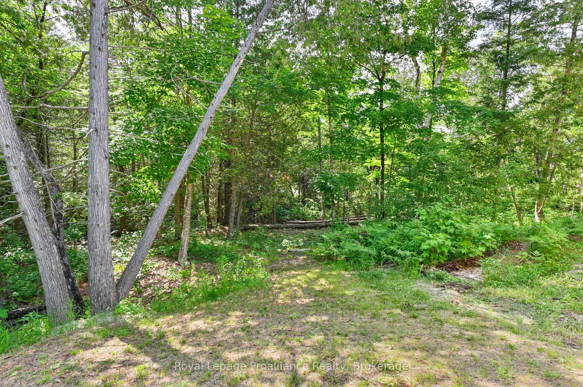 93 Hammond Road photo 37