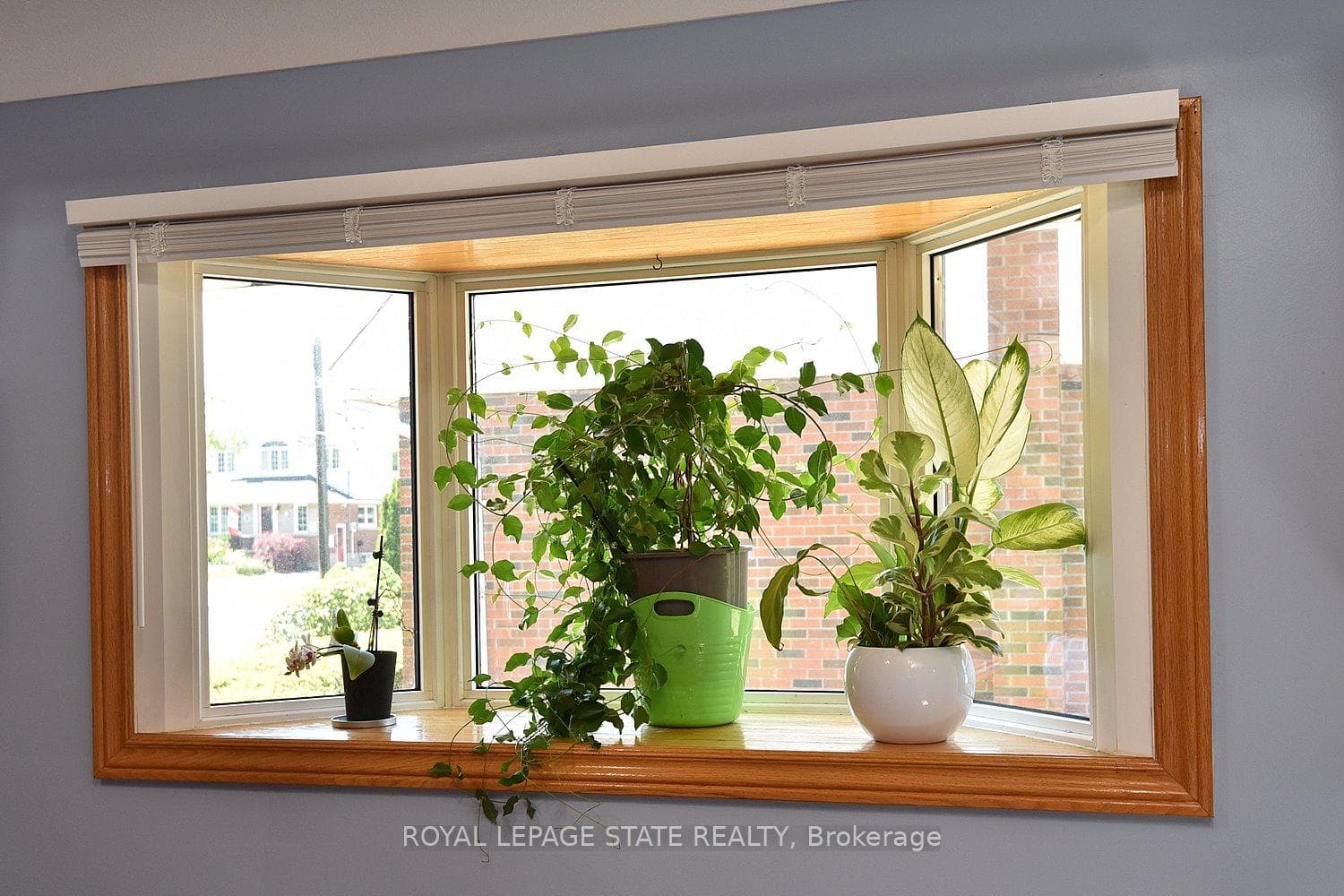 10 Alderney Avenue photo 16