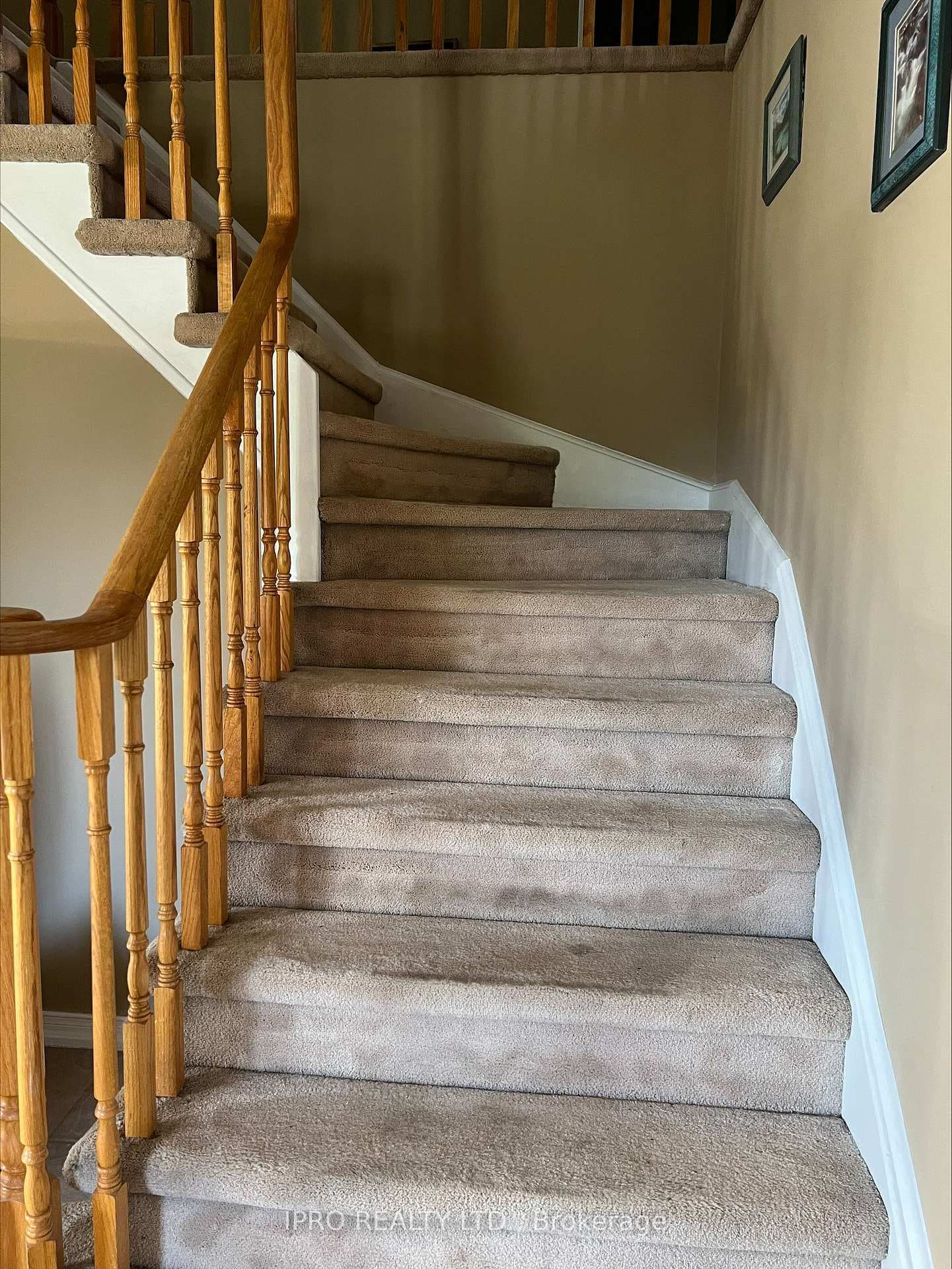1059 Shoal Point Road photo 3