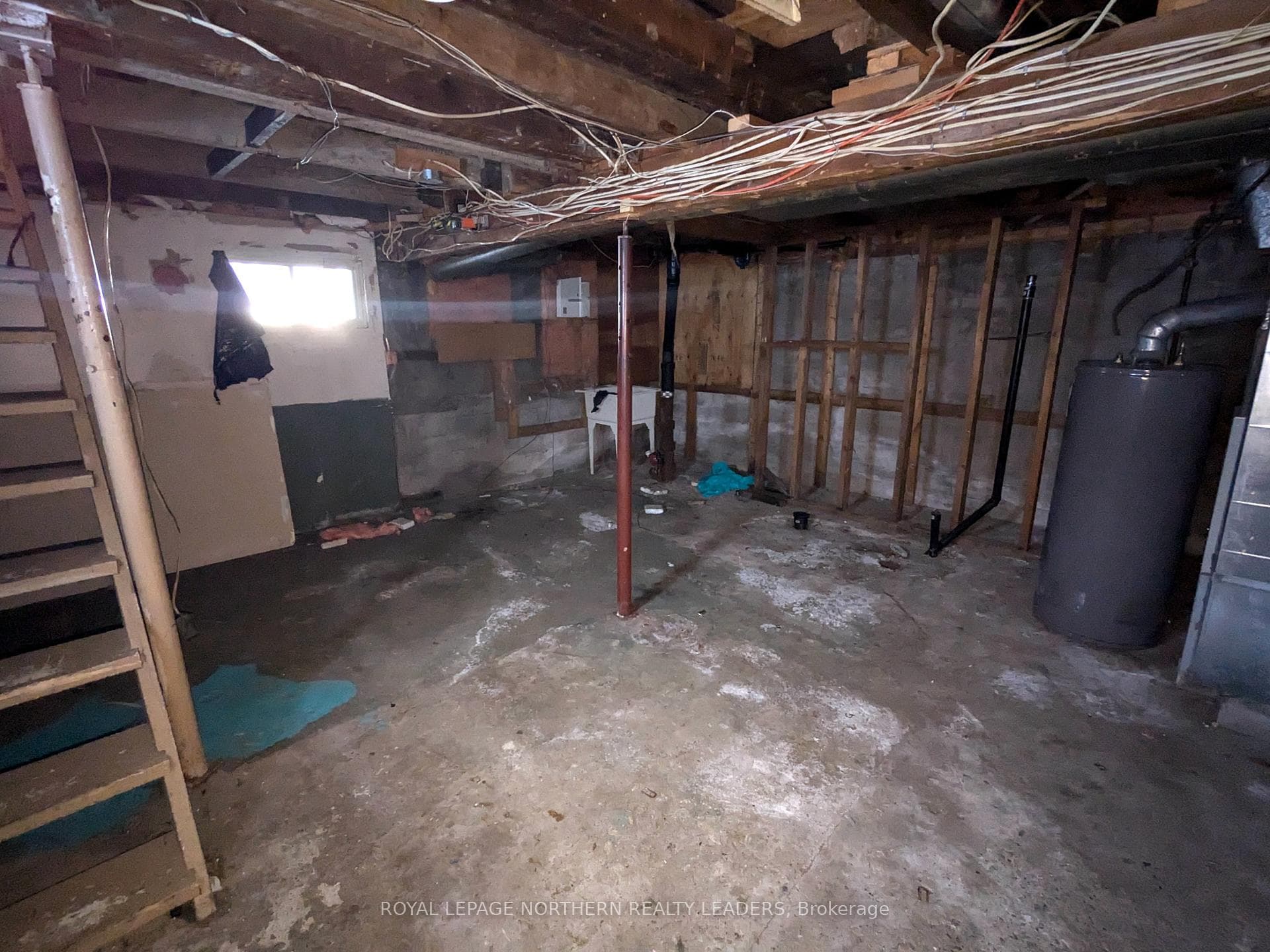 239 Birch Street photo 14