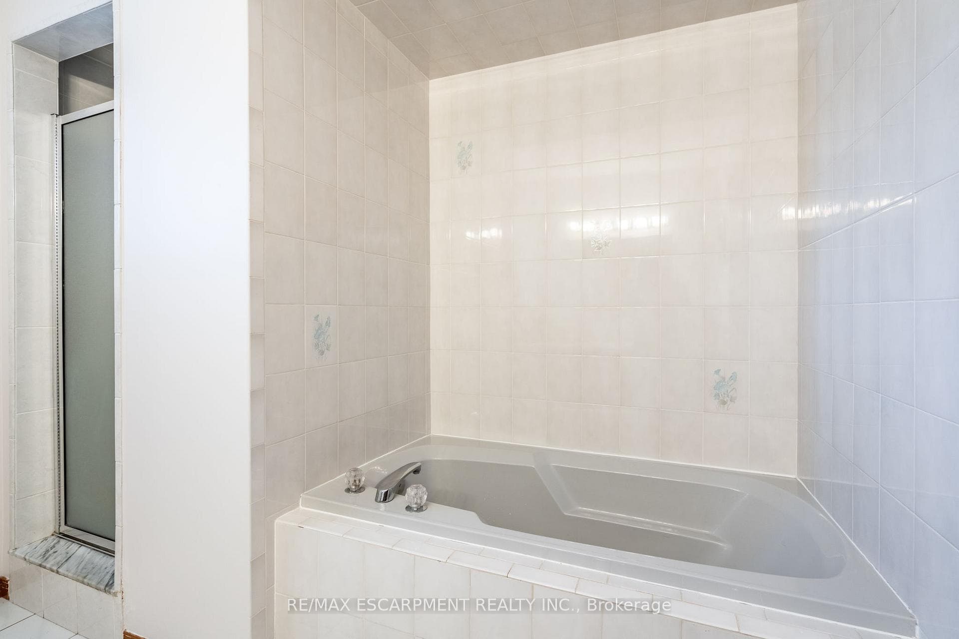 35 Republic Avenue photo 24
