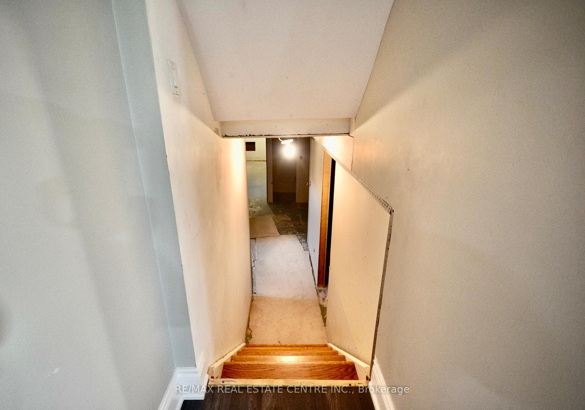 unfinished lower level