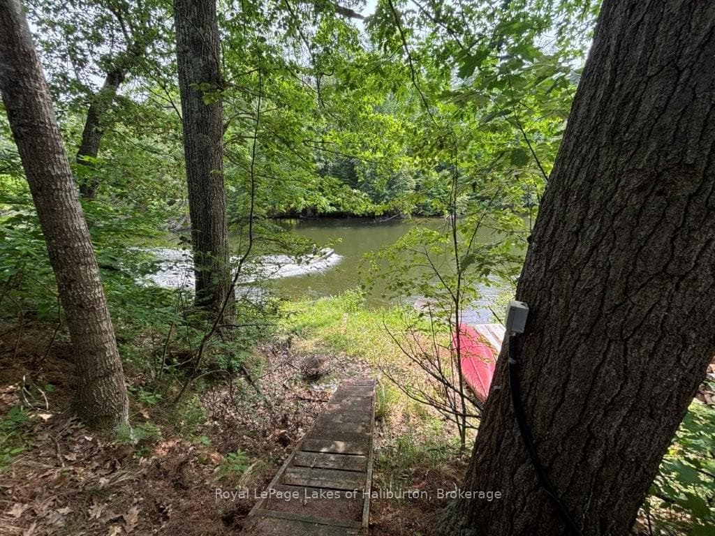 1019 Loyalist Drive photo 18