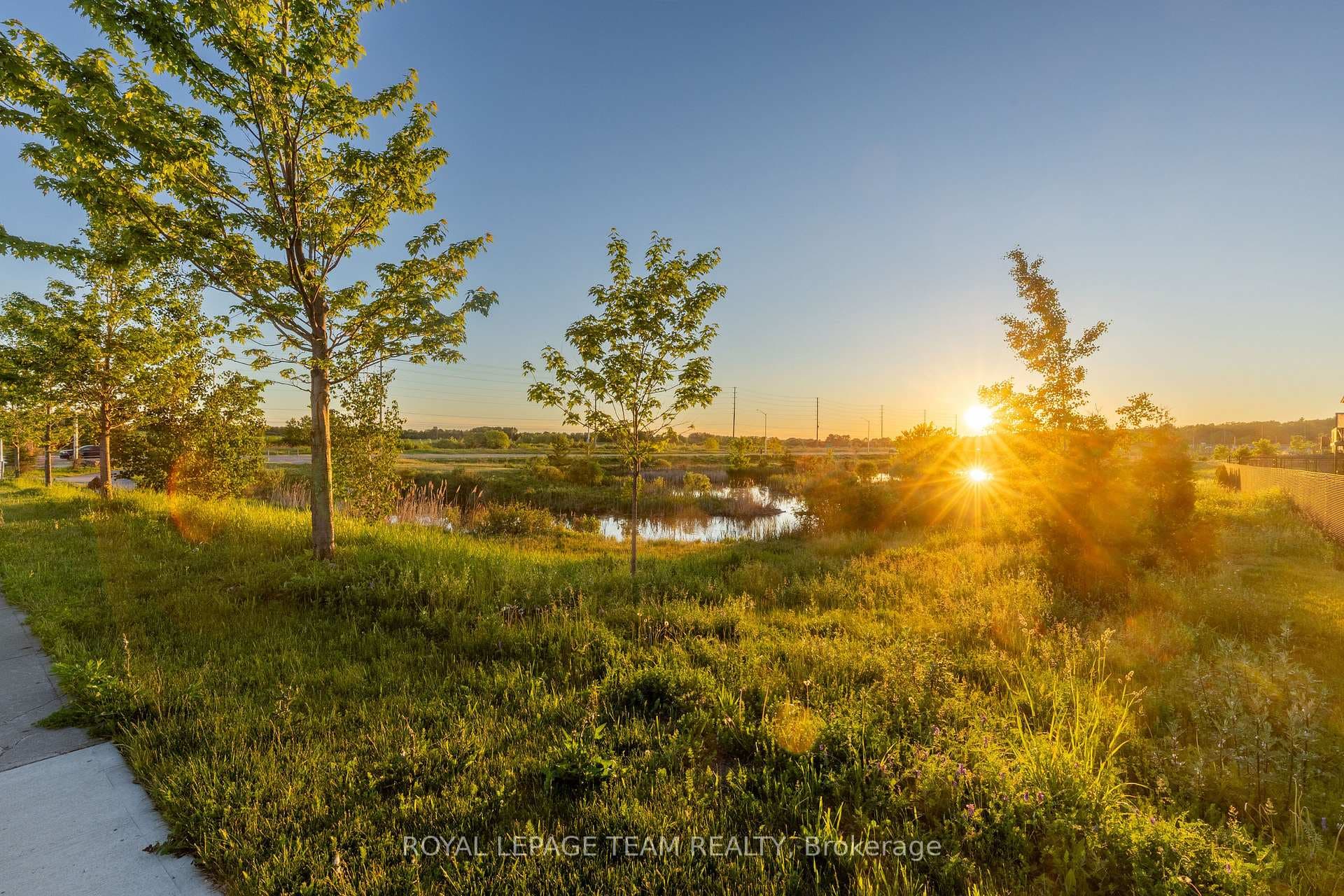 86 Escarpment Crescent photo 11