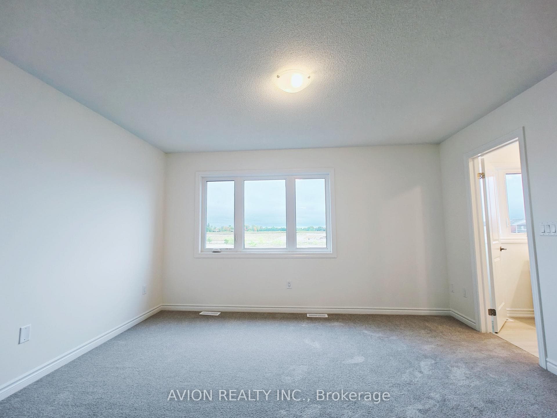 137 Greer Street photo 9