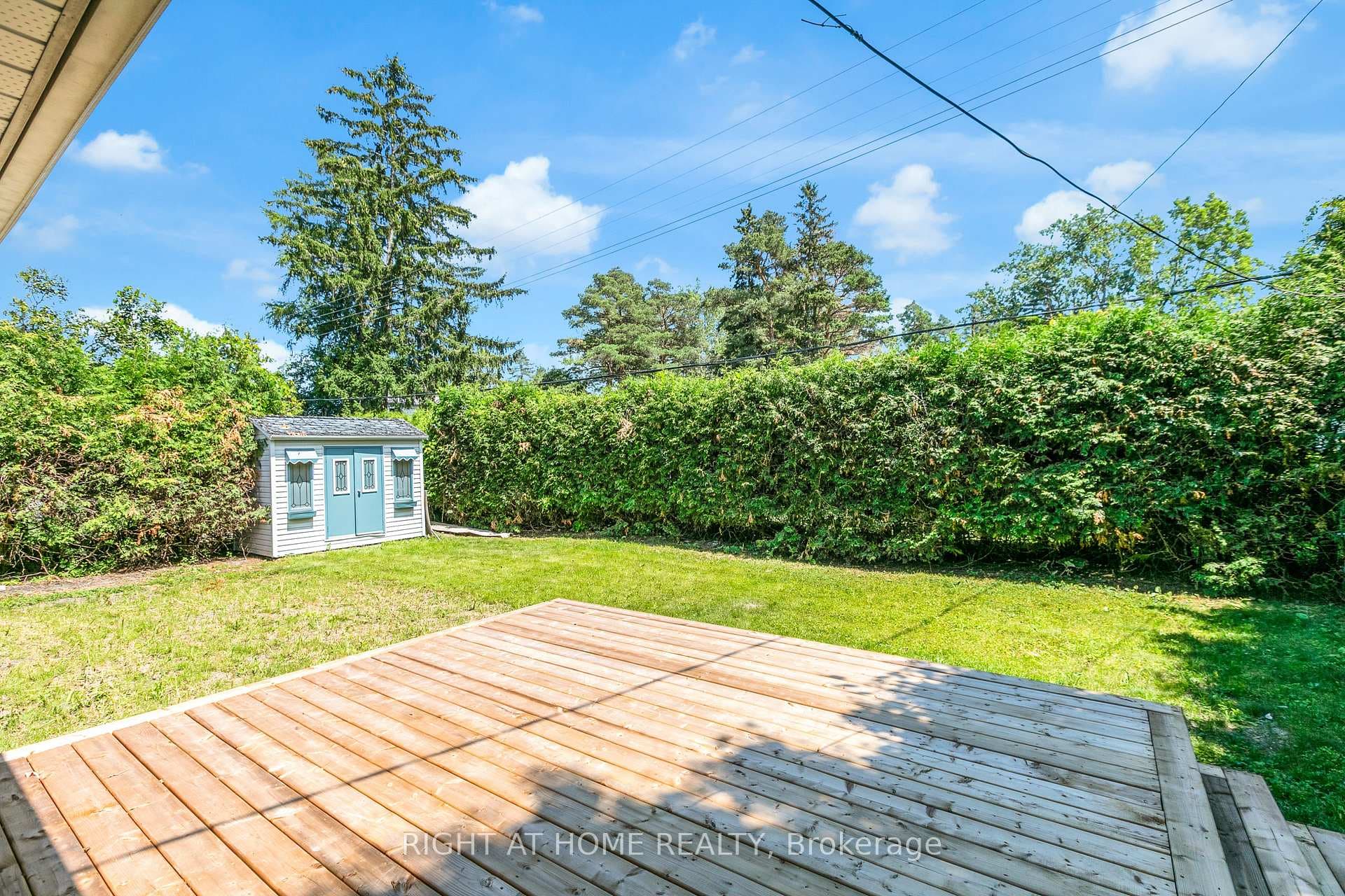Backyard w Fence & Privacy Hedge