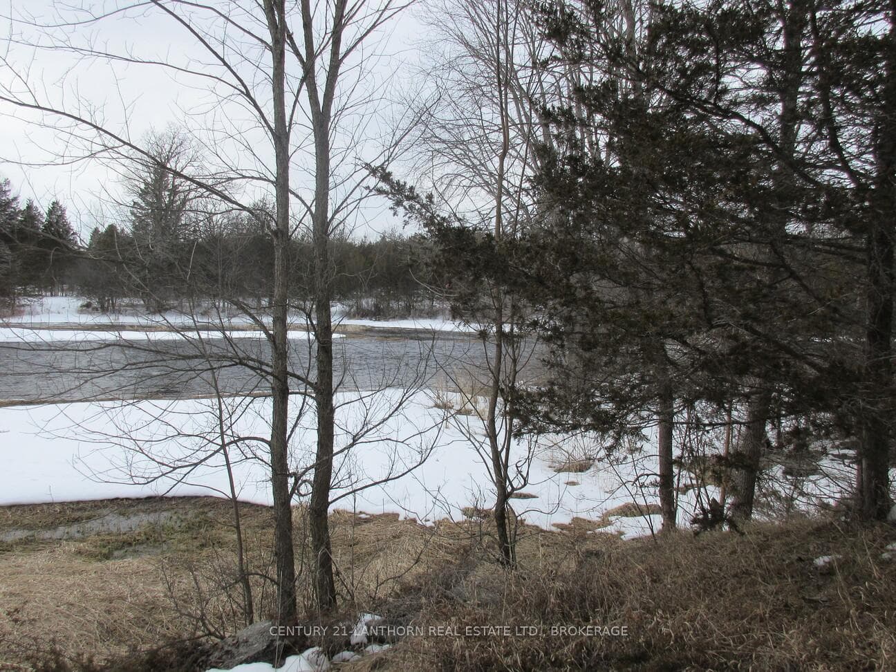 0 Salmon River Road photo 37