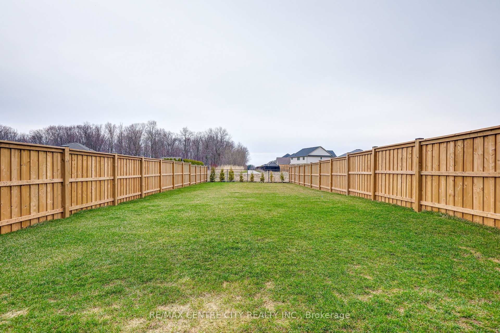 49 Empire Parkway photo 4