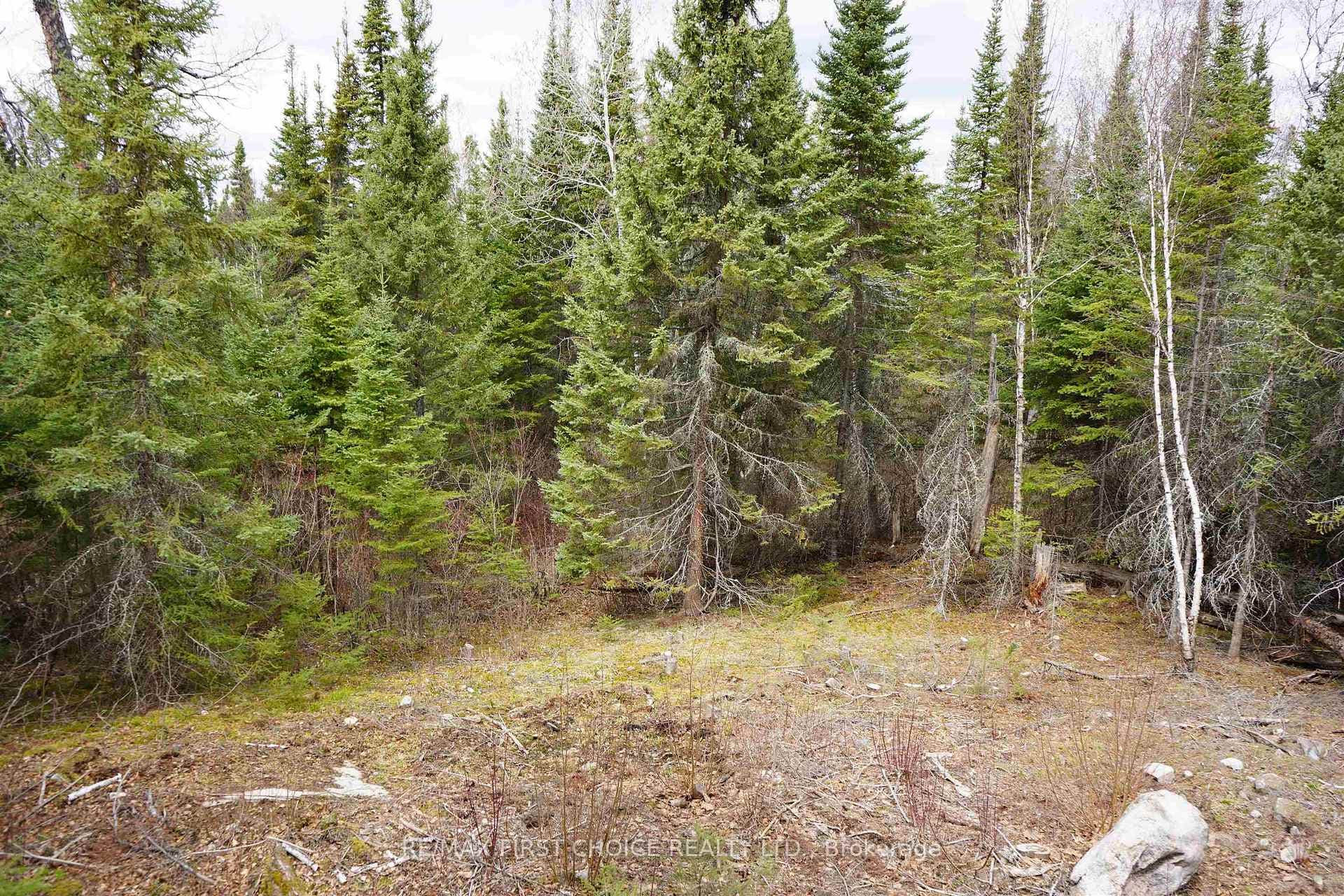 1 Gunn Lake Road photo 35